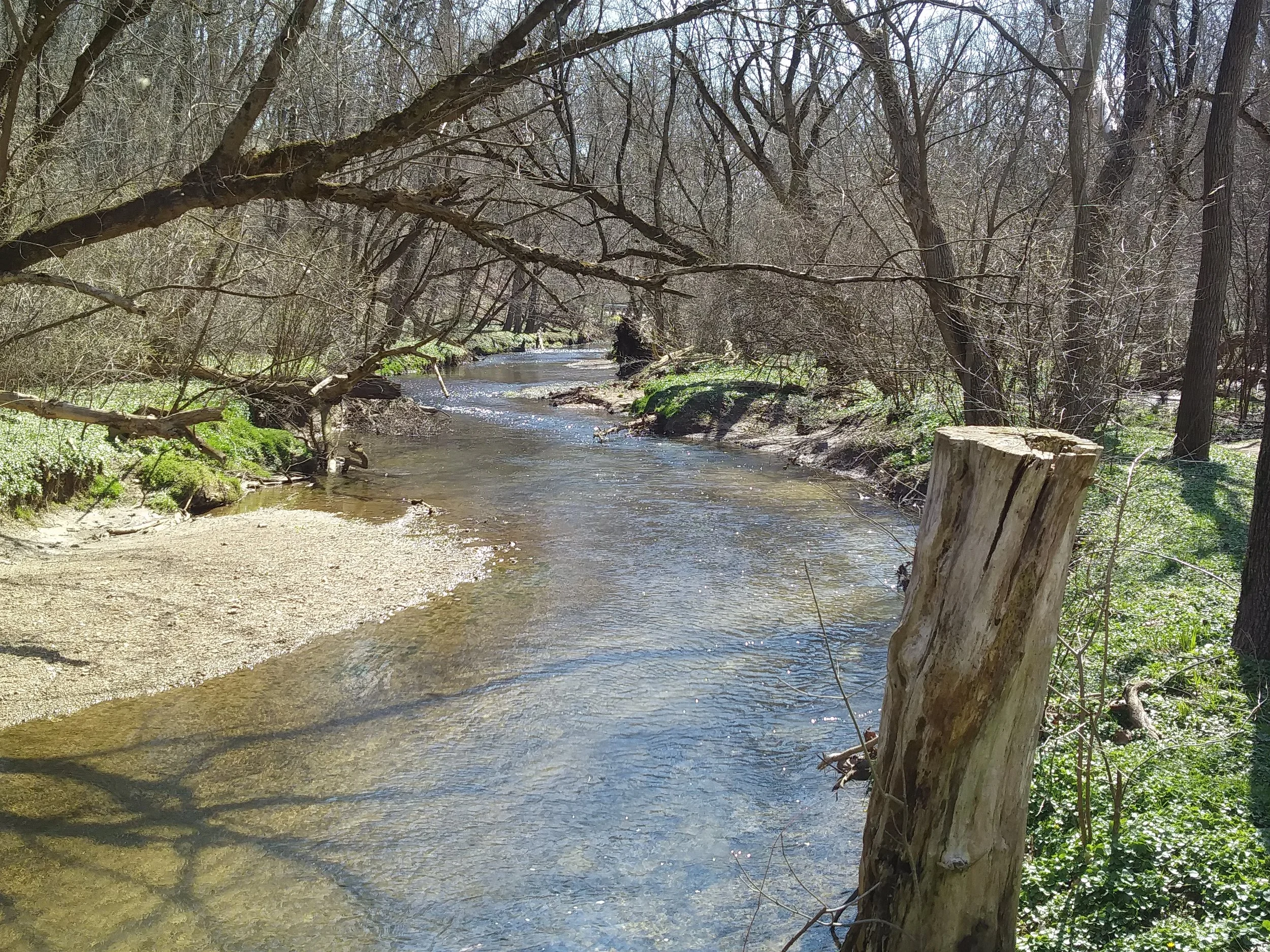 Cedar Hollow Preserve