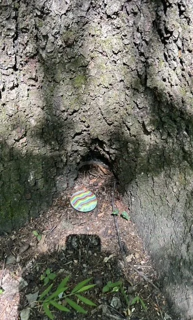 pic1.jpg