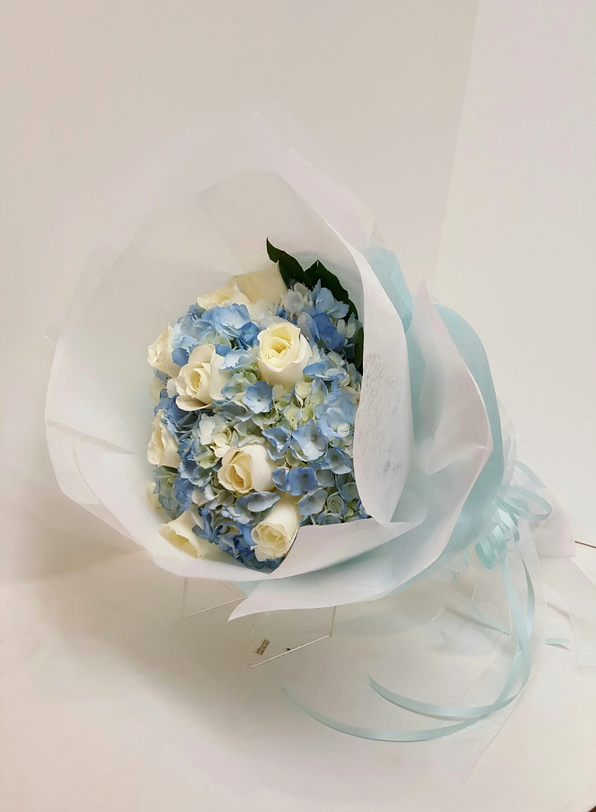 WB-6 Blue & Cream