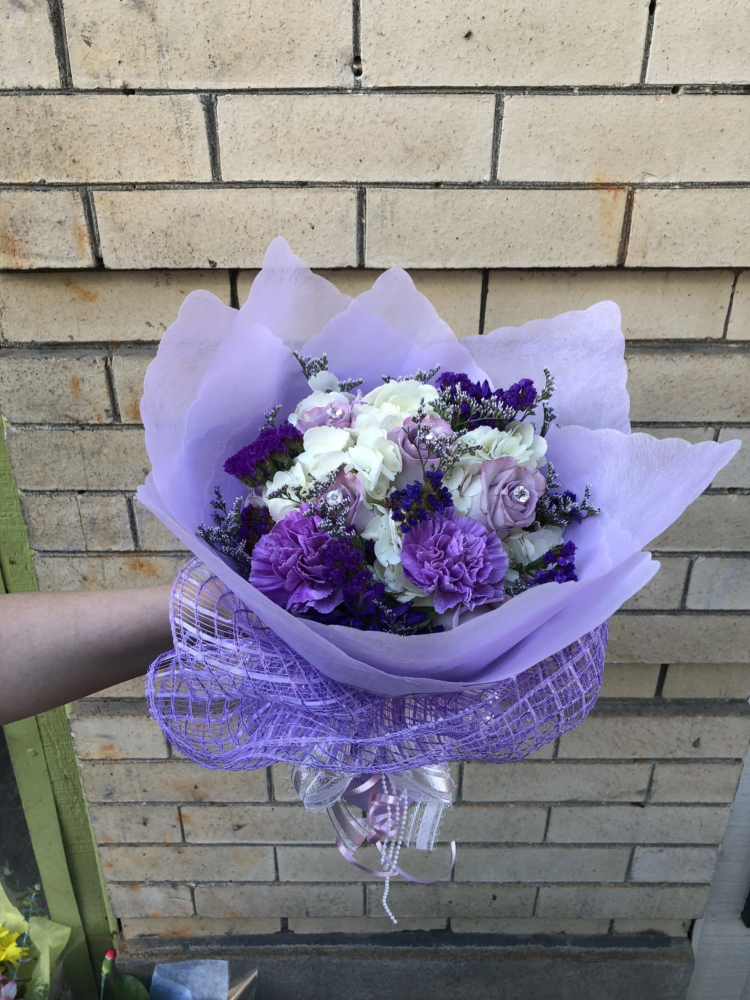 WB-9 Purple Variations