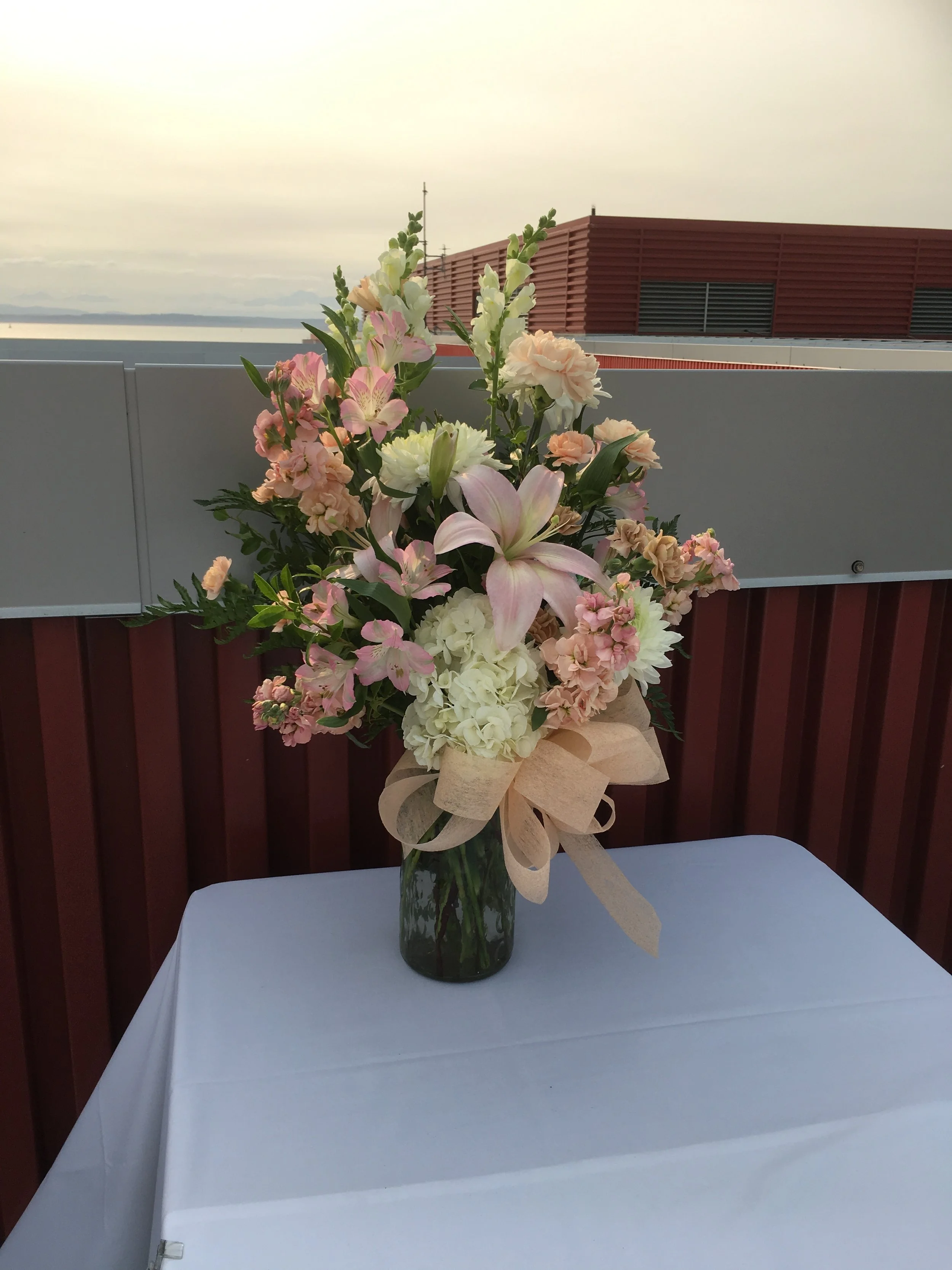 TVB-30 Dreaming Pastel