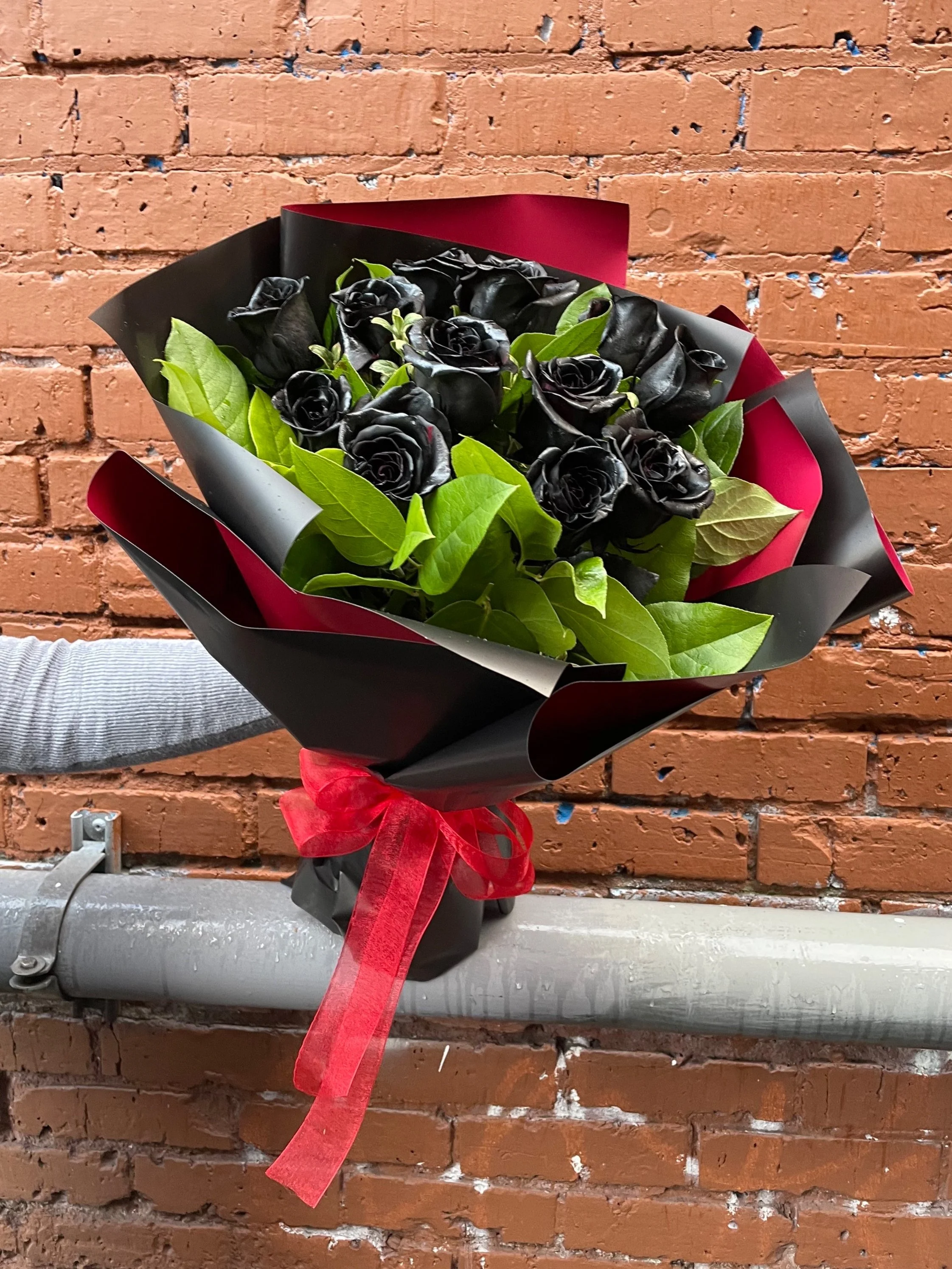 WB-37 Black Roses