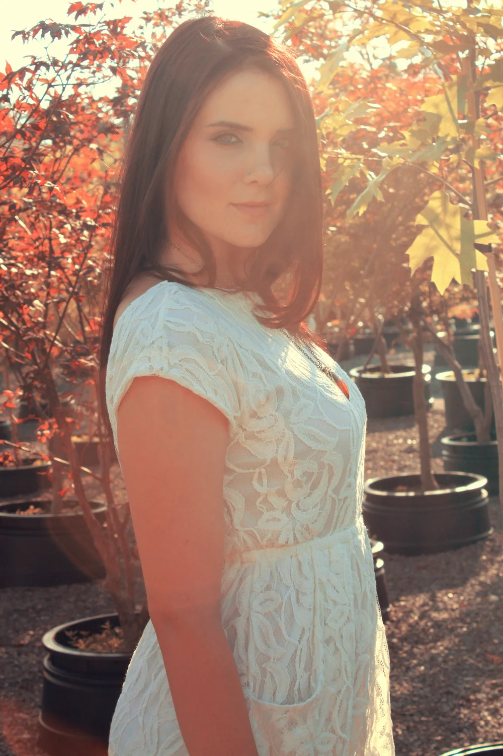 ambergreenhouse 10 - Copy.jpg