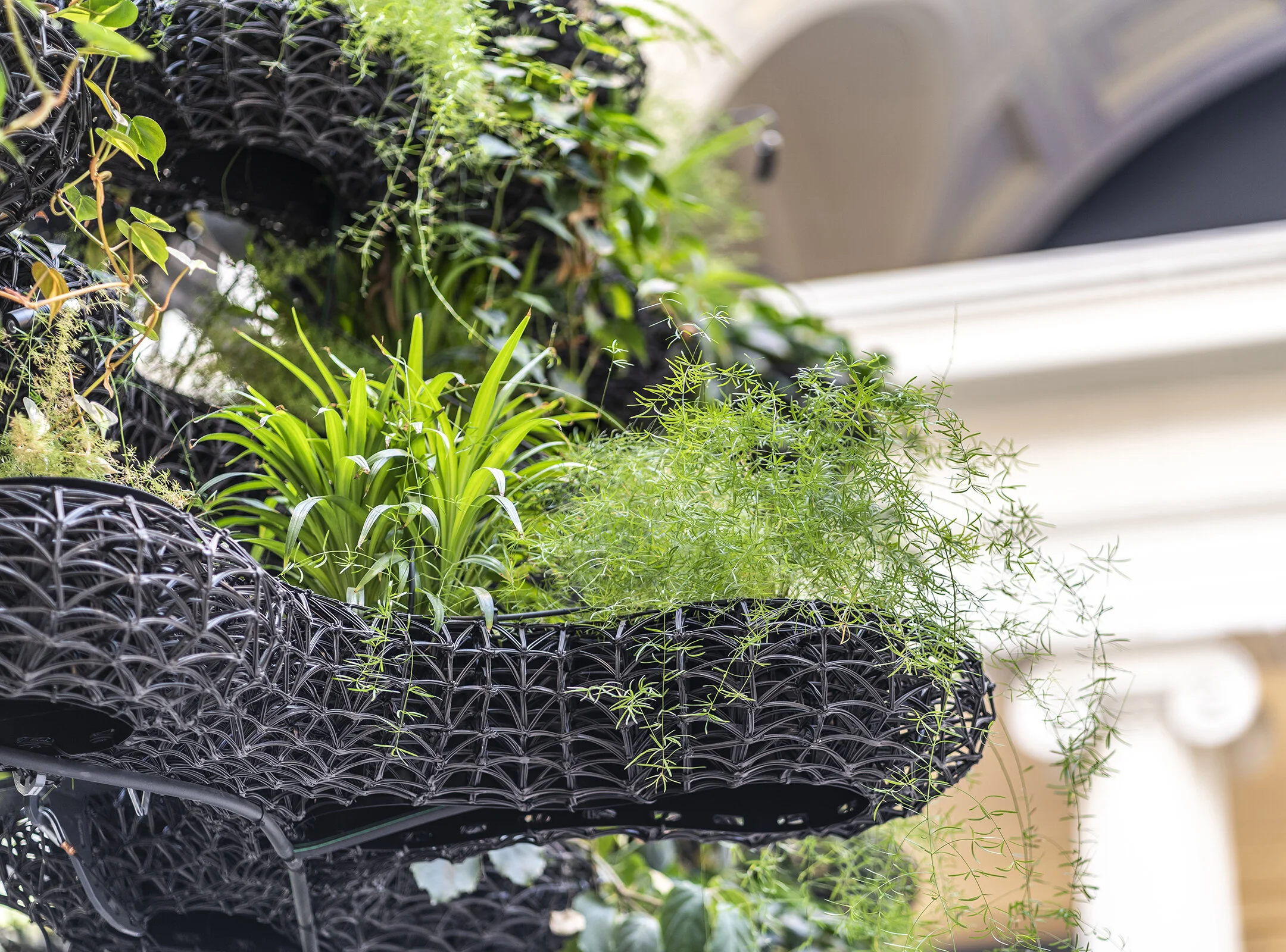 Nature Gardens with Branch Technology