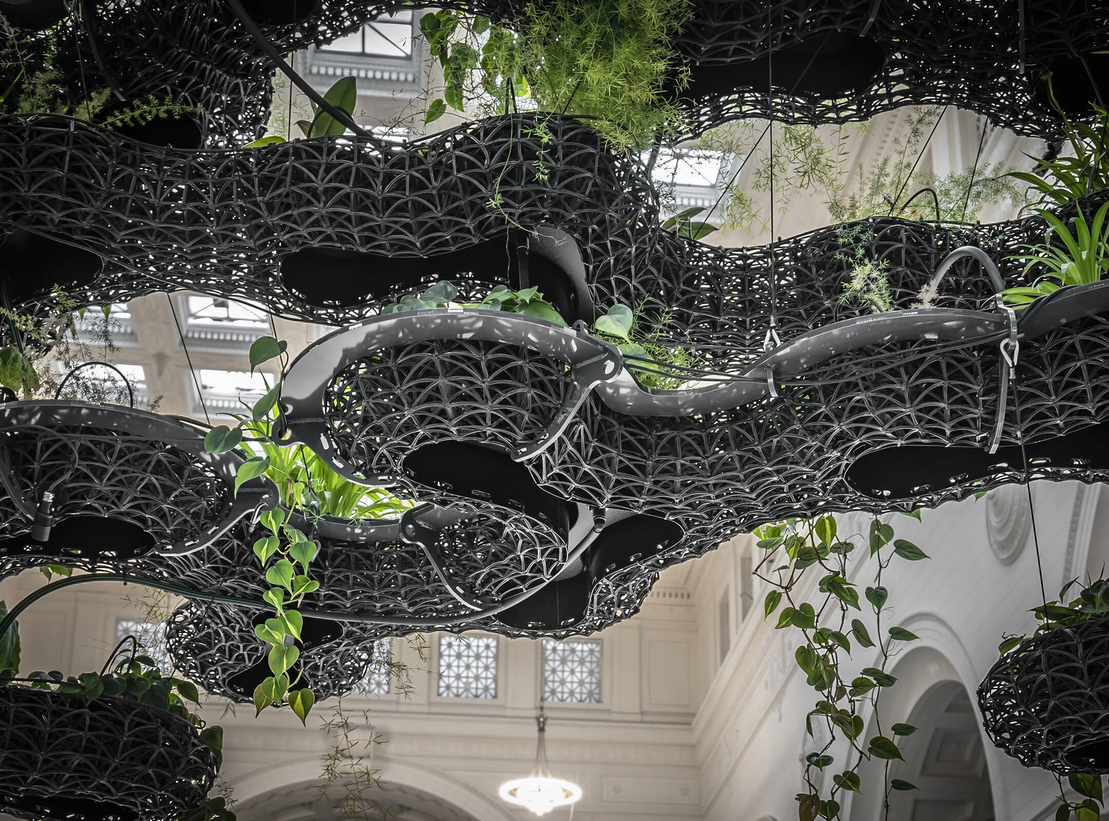 Nature Gardens with Branch Technology