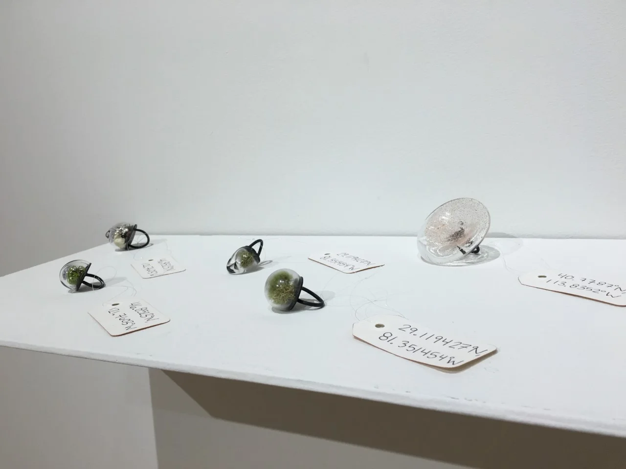 rings