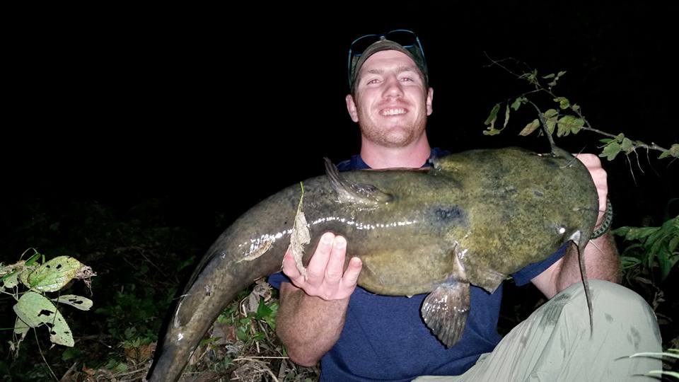 Trophy catfish: Where to find them and methods for bringing them in