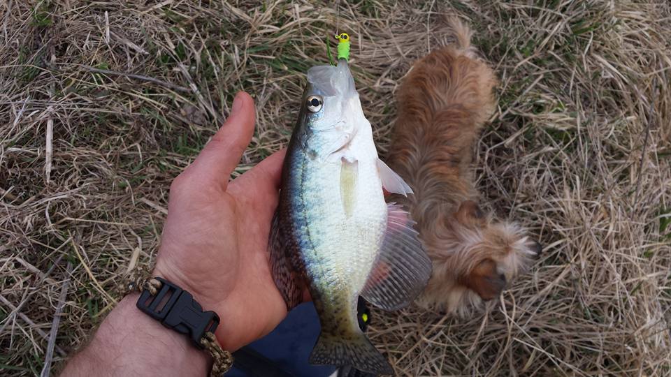 Crappies and Current — River Certified Fishing, Kayak Fishing, And Camping