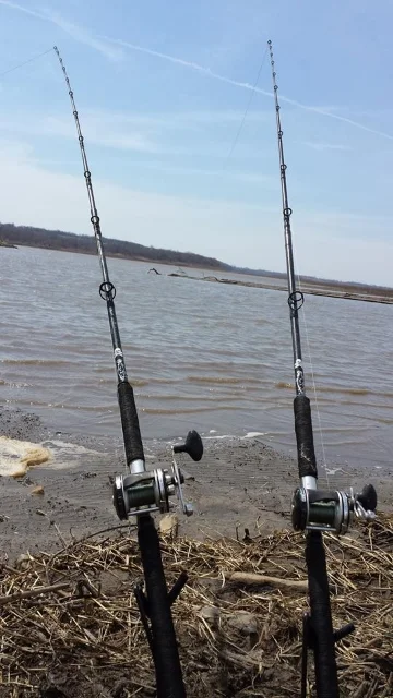 Fishing downstream of an island