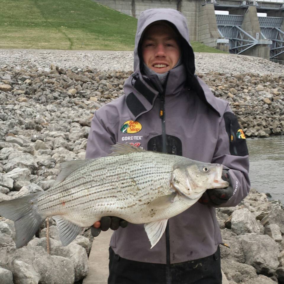 Long Distance White Bass and Wipers — River Certified Fishing