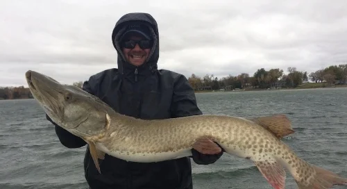 Big muskies are out there for the catching