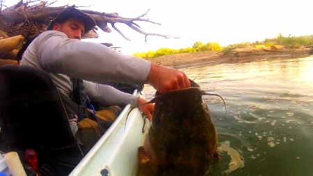 Denny hoists a big flathead from his daytime home