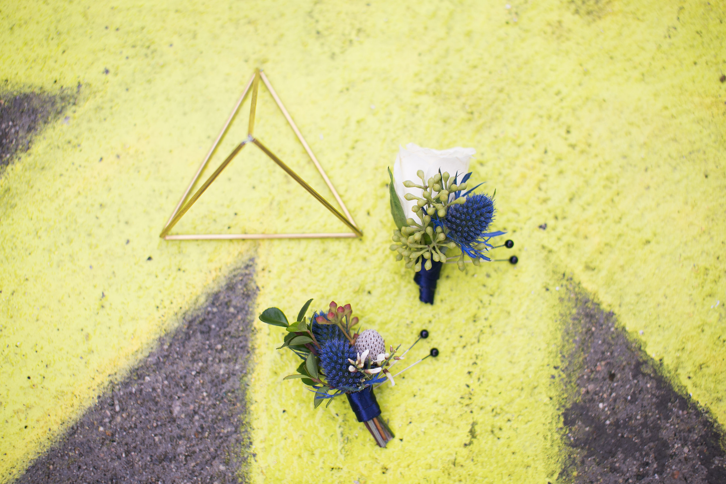 Cover6a.jpg