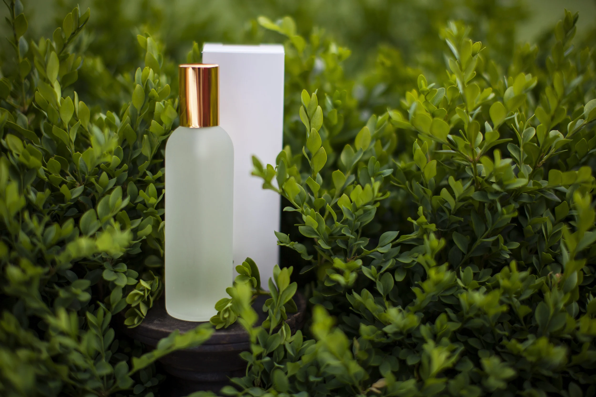 giorgio beverly hills red for men