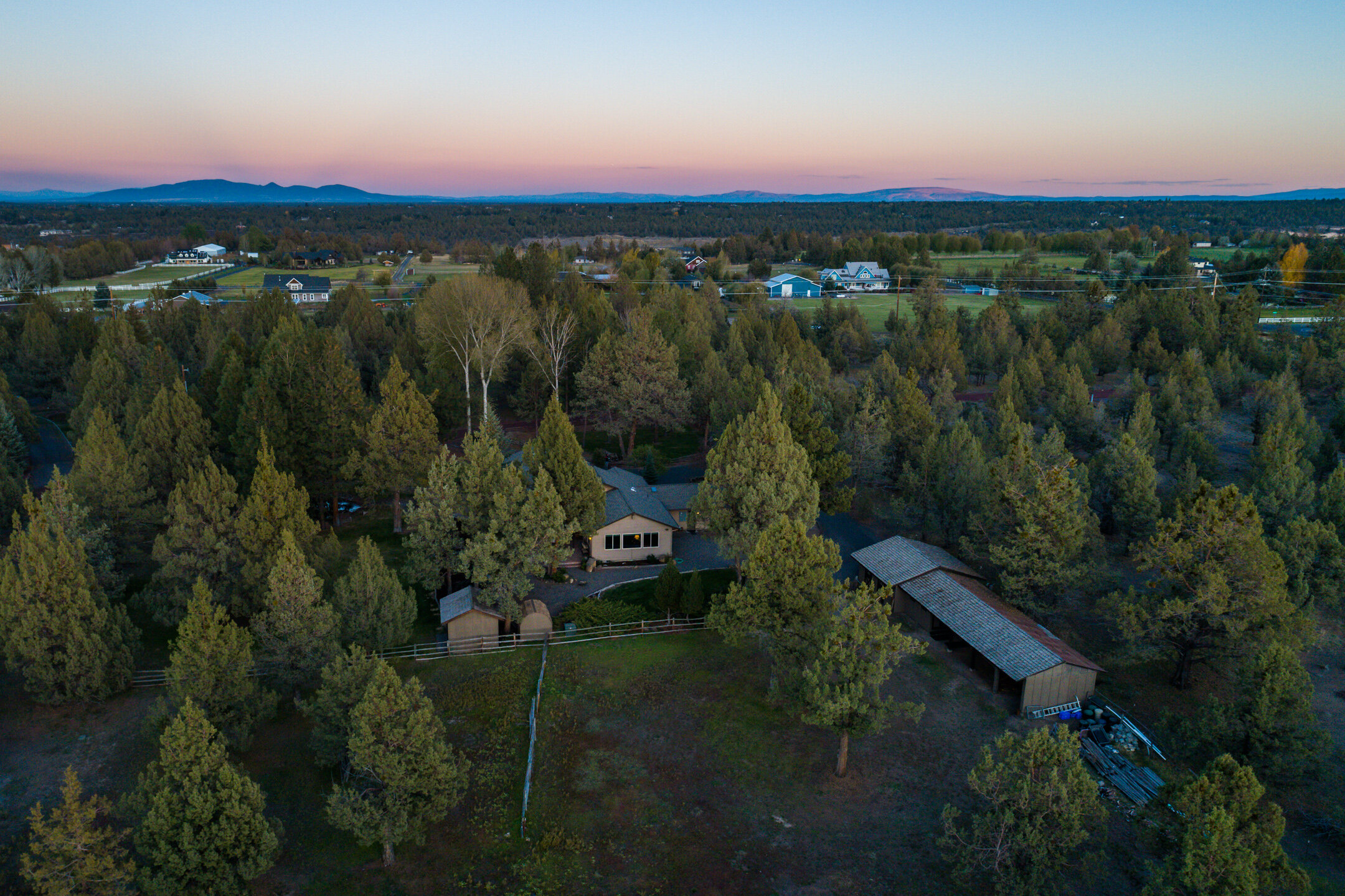 2019_10_09_64445_quail_twilight-1.jpg