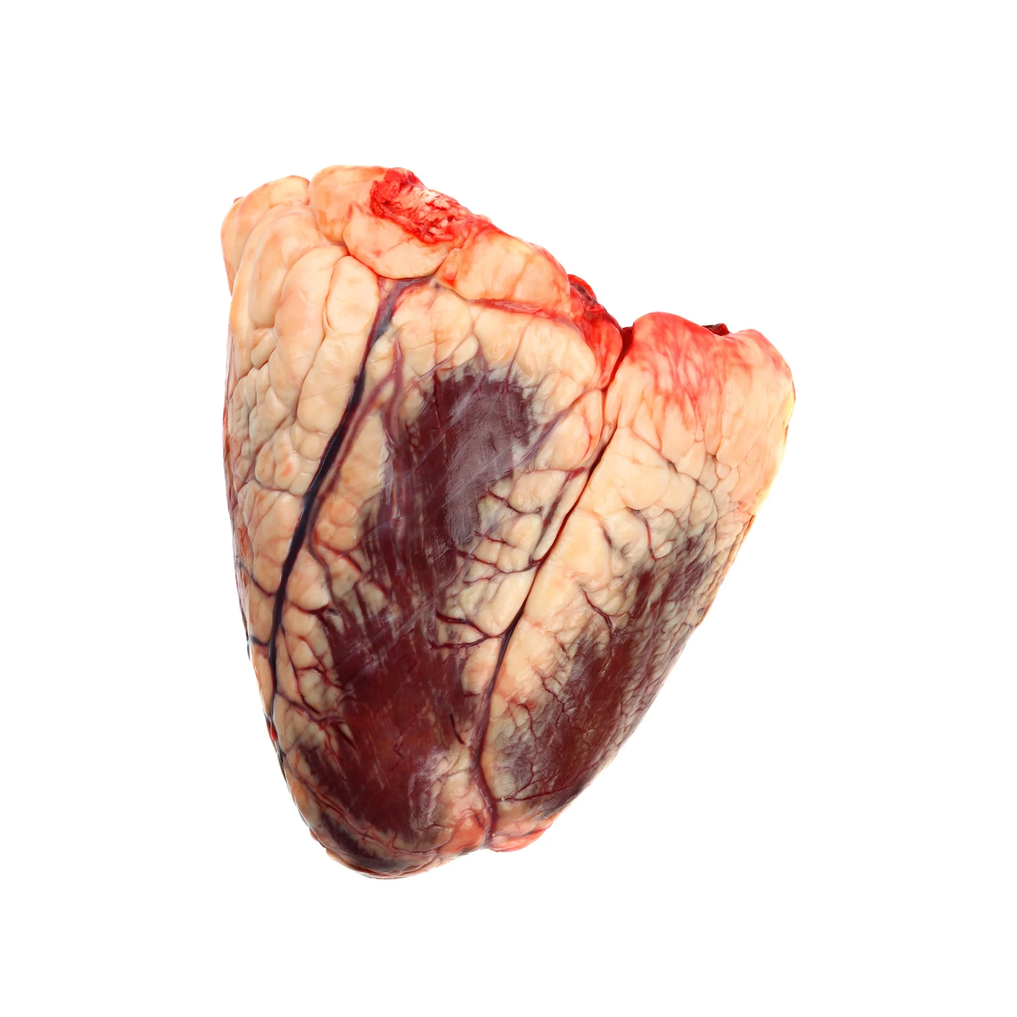 heart.jpg