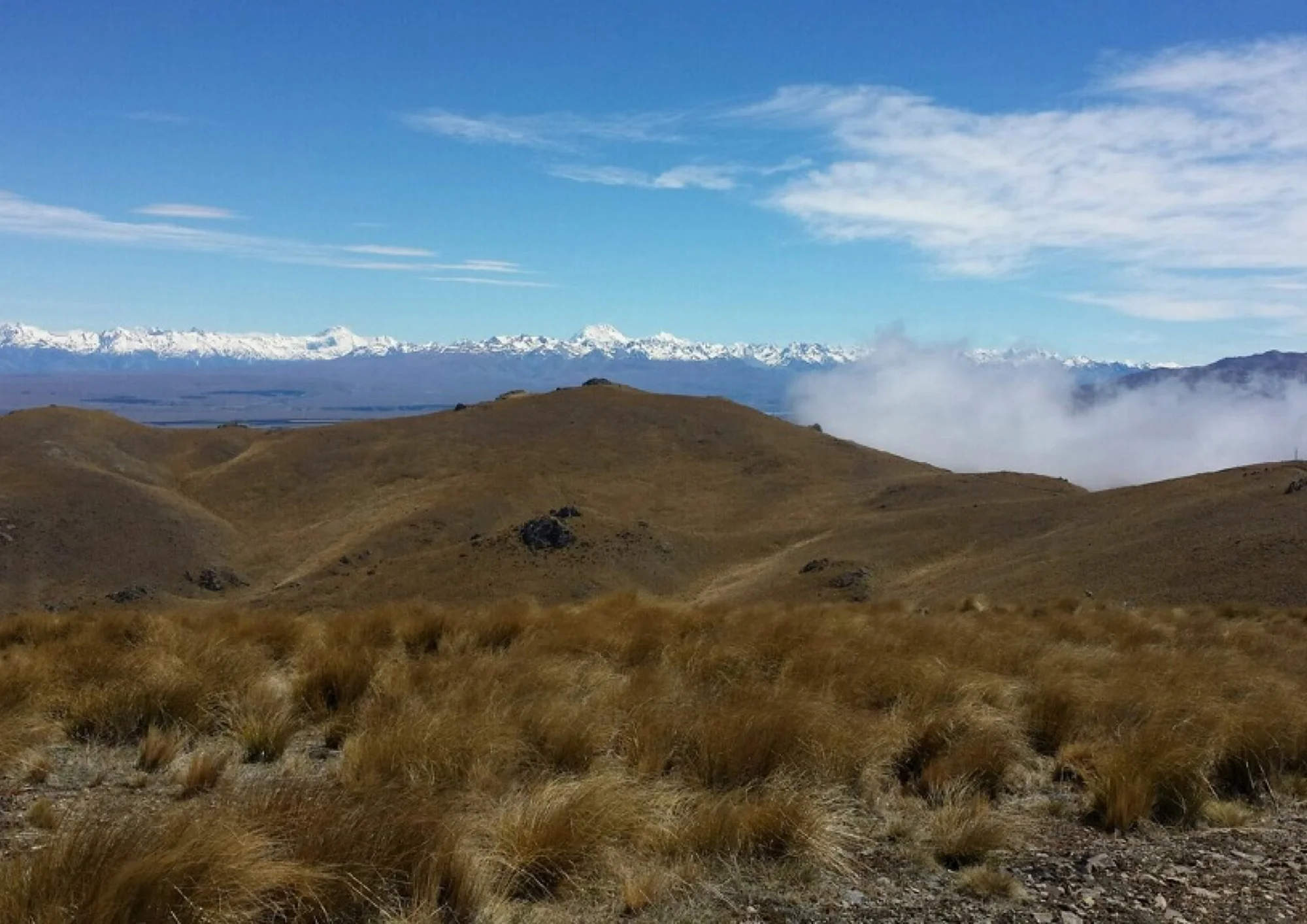 "Above the clouds looking at Mt Cook - lots of rabbits today" photo by Max the Hunter