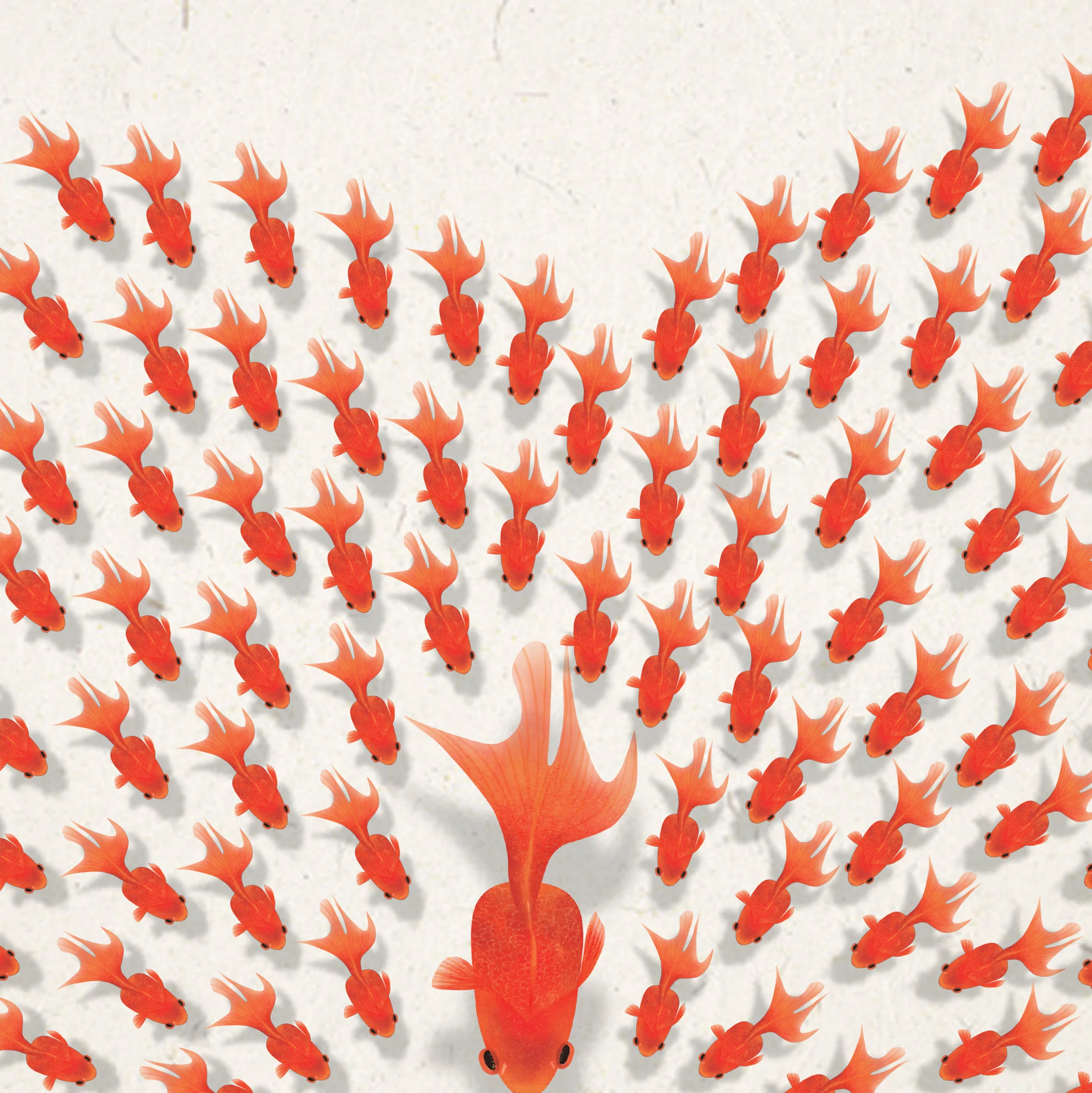 Goldfish_Pattern_001.jpg