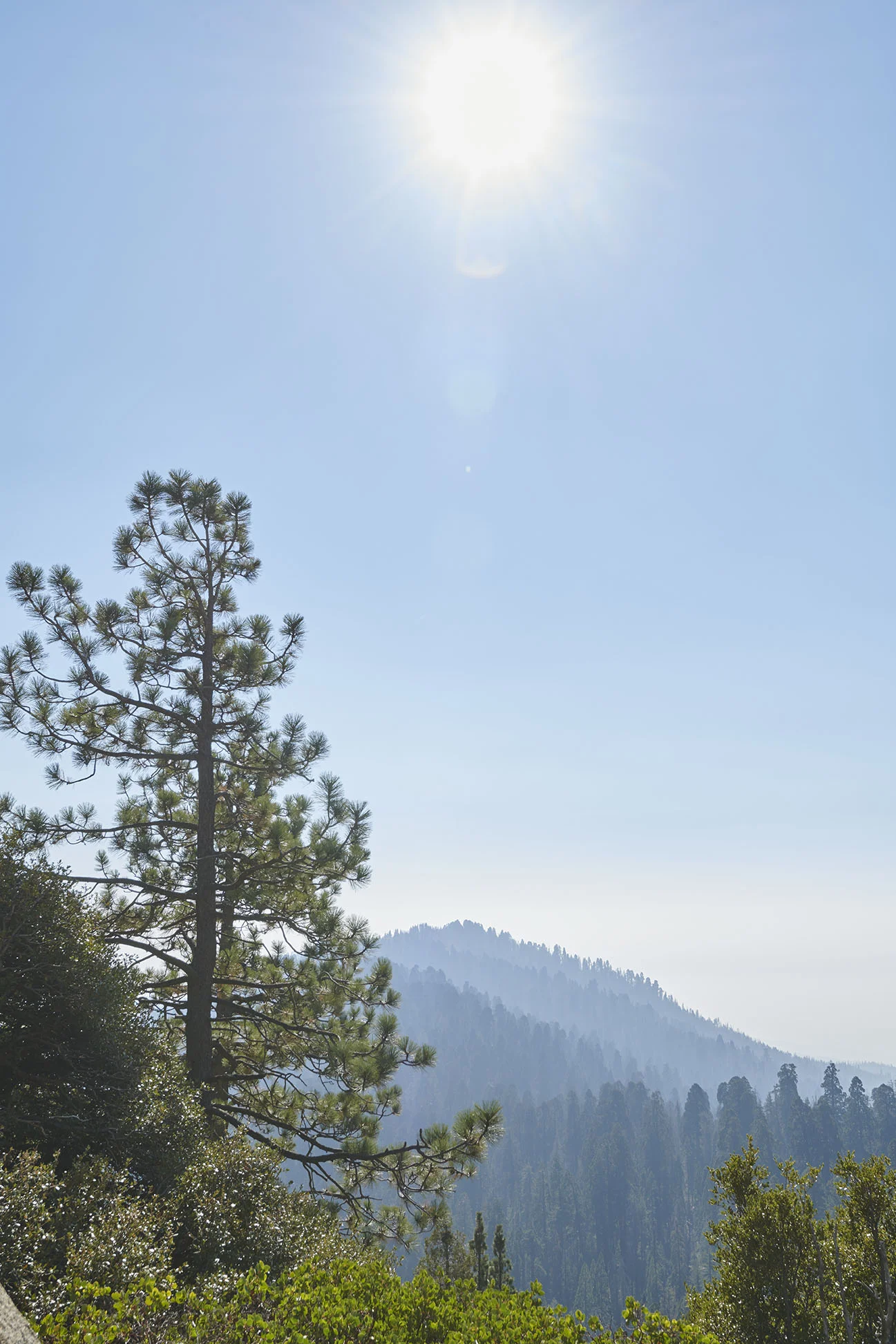 _DSC6062 copy.jpg