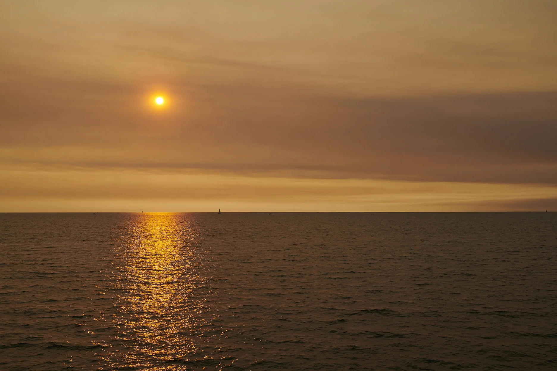 _DSC6463 copy.jpg