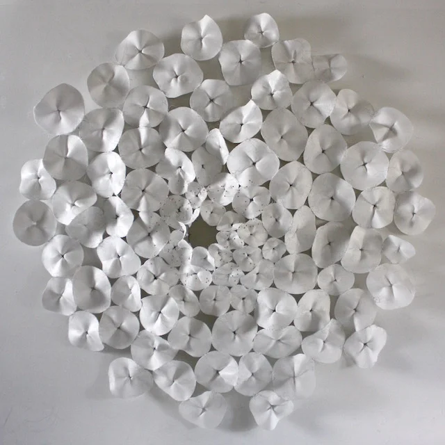Hydrangea II