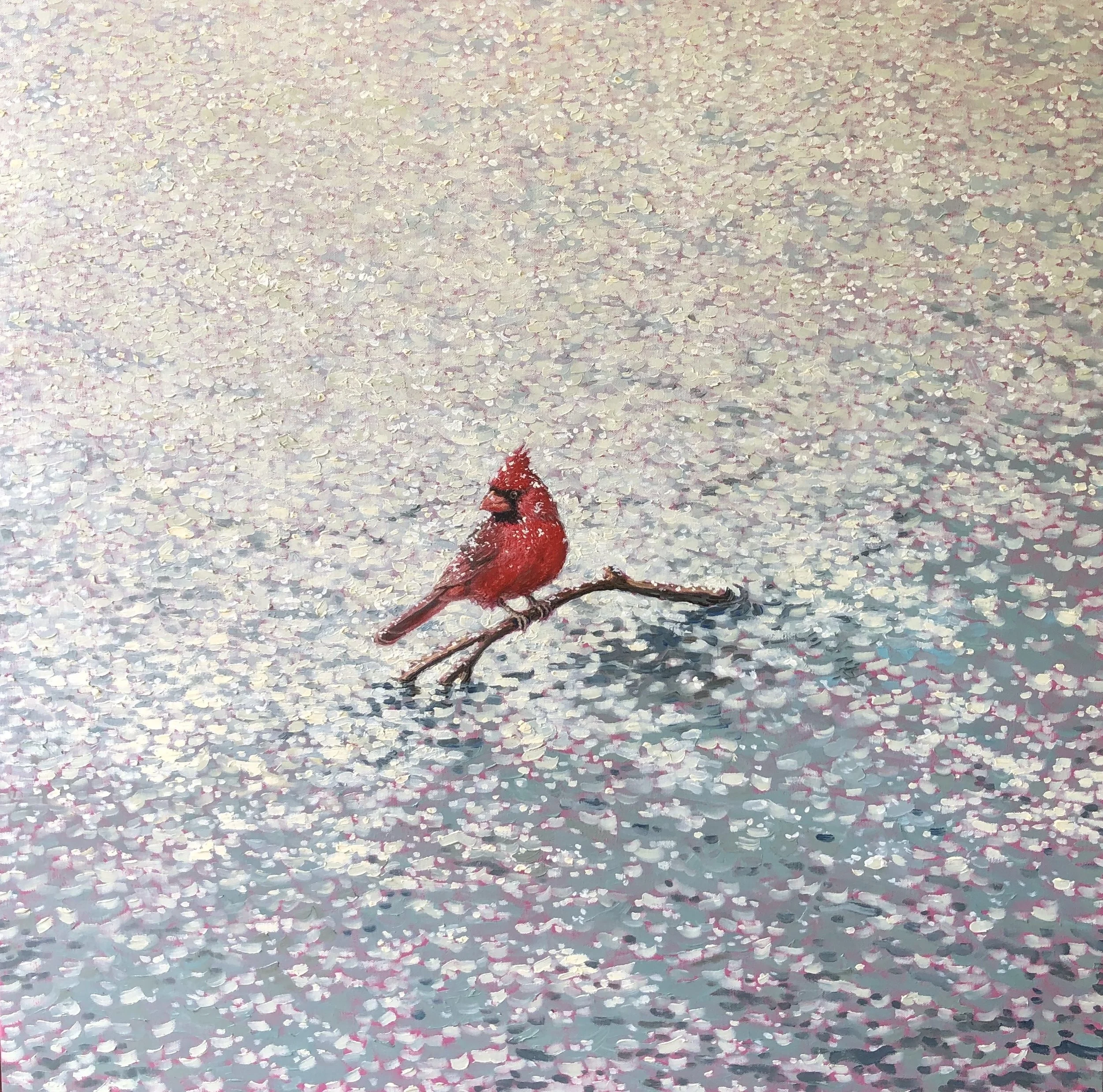 Cardinal 1