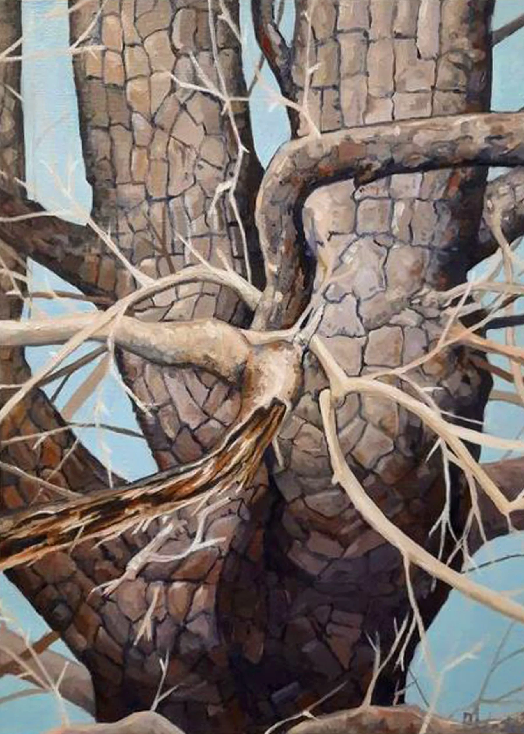    Knotted Up  , oil on canvas, 26 x 20 inches  