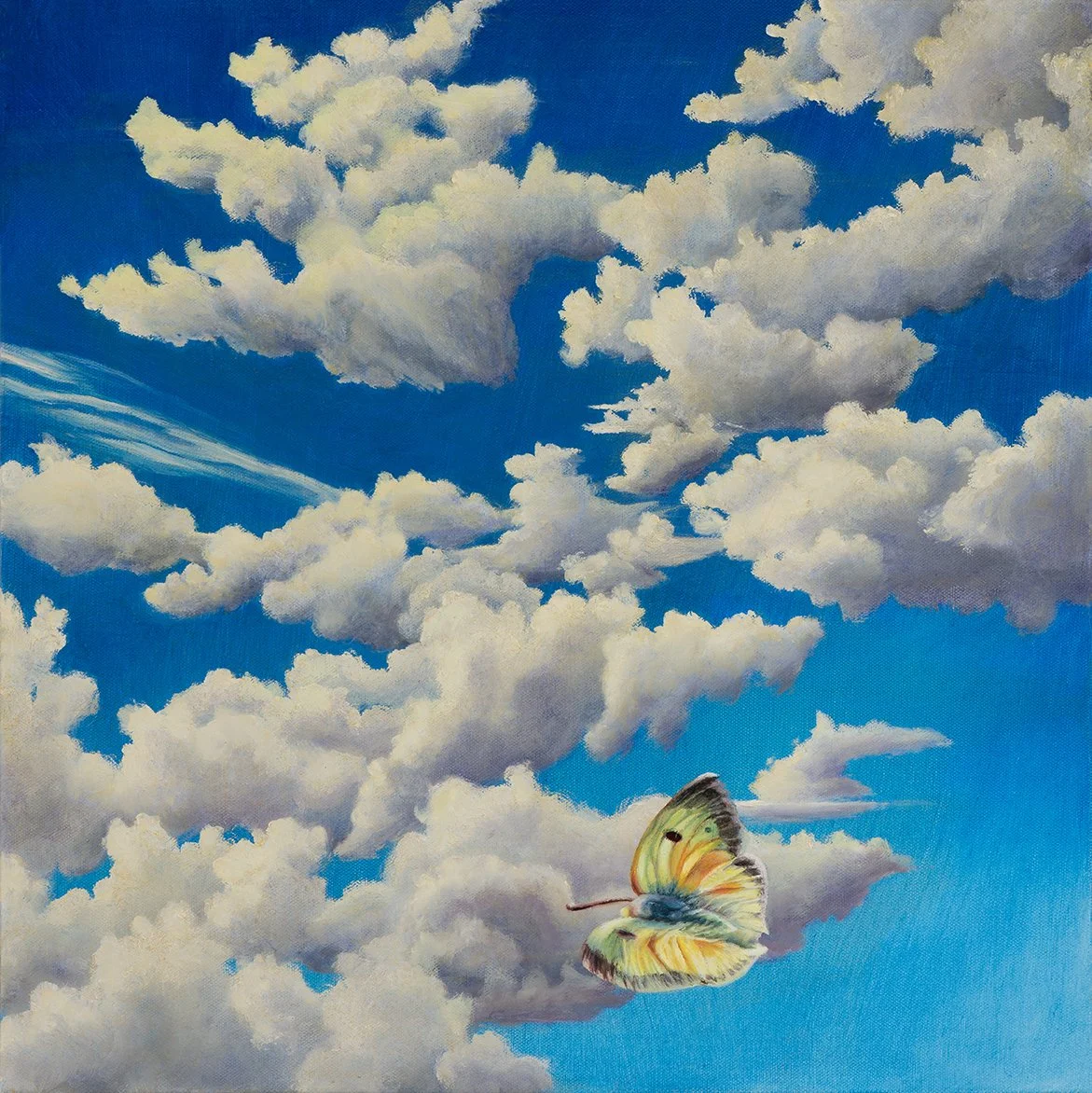 Portrait of the Viewer as a Butterfly.jpg