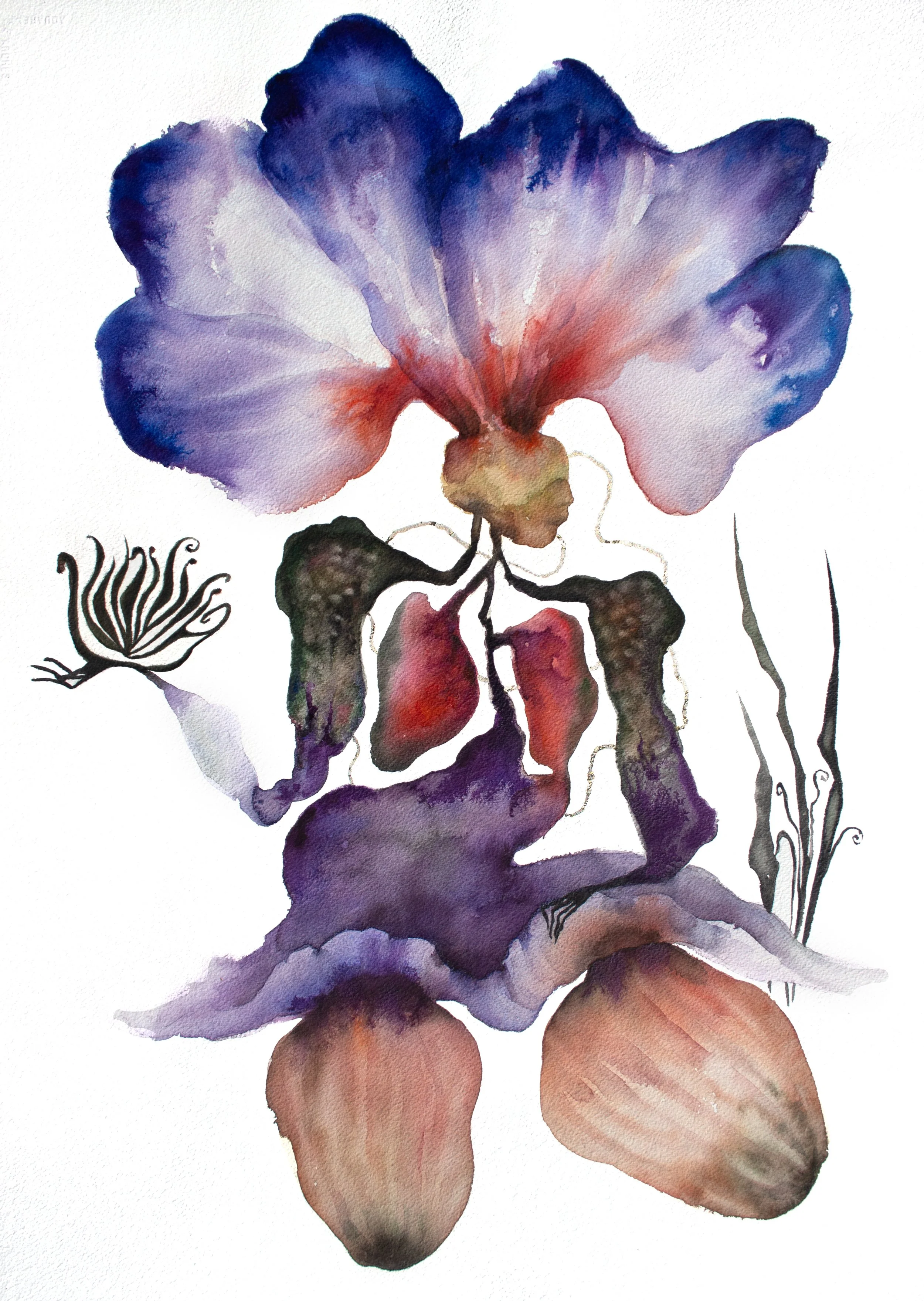 The Secret Lives of Plants.jpg