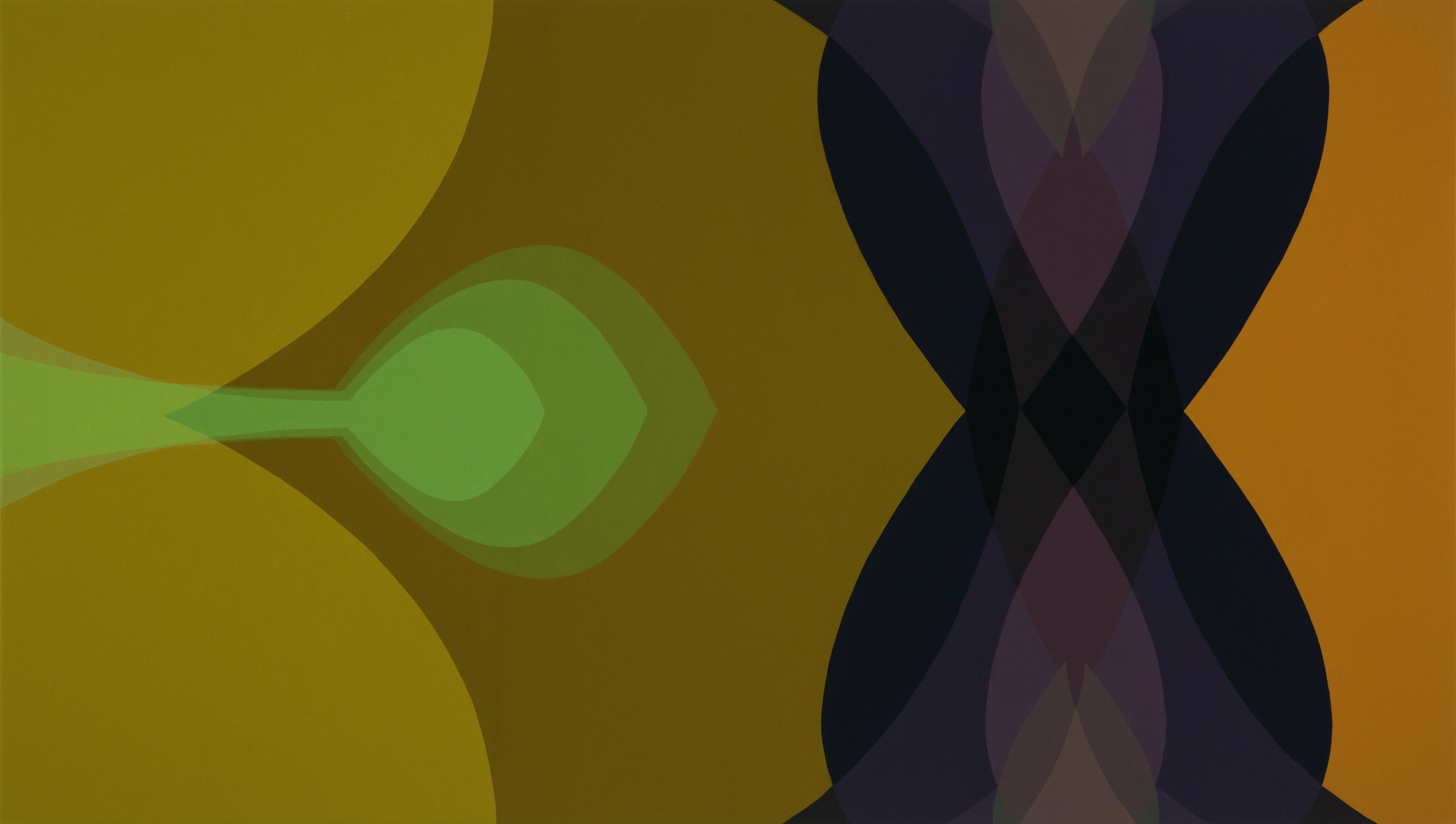    Mirage and the Echo  , acrylic on canvas, 45 x 80 inches 