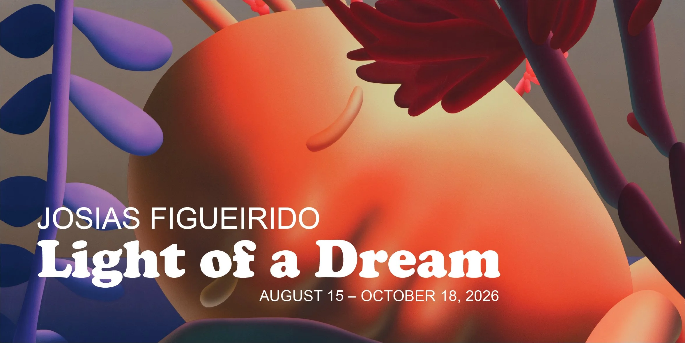 Light of a Dream rect promo.jpg