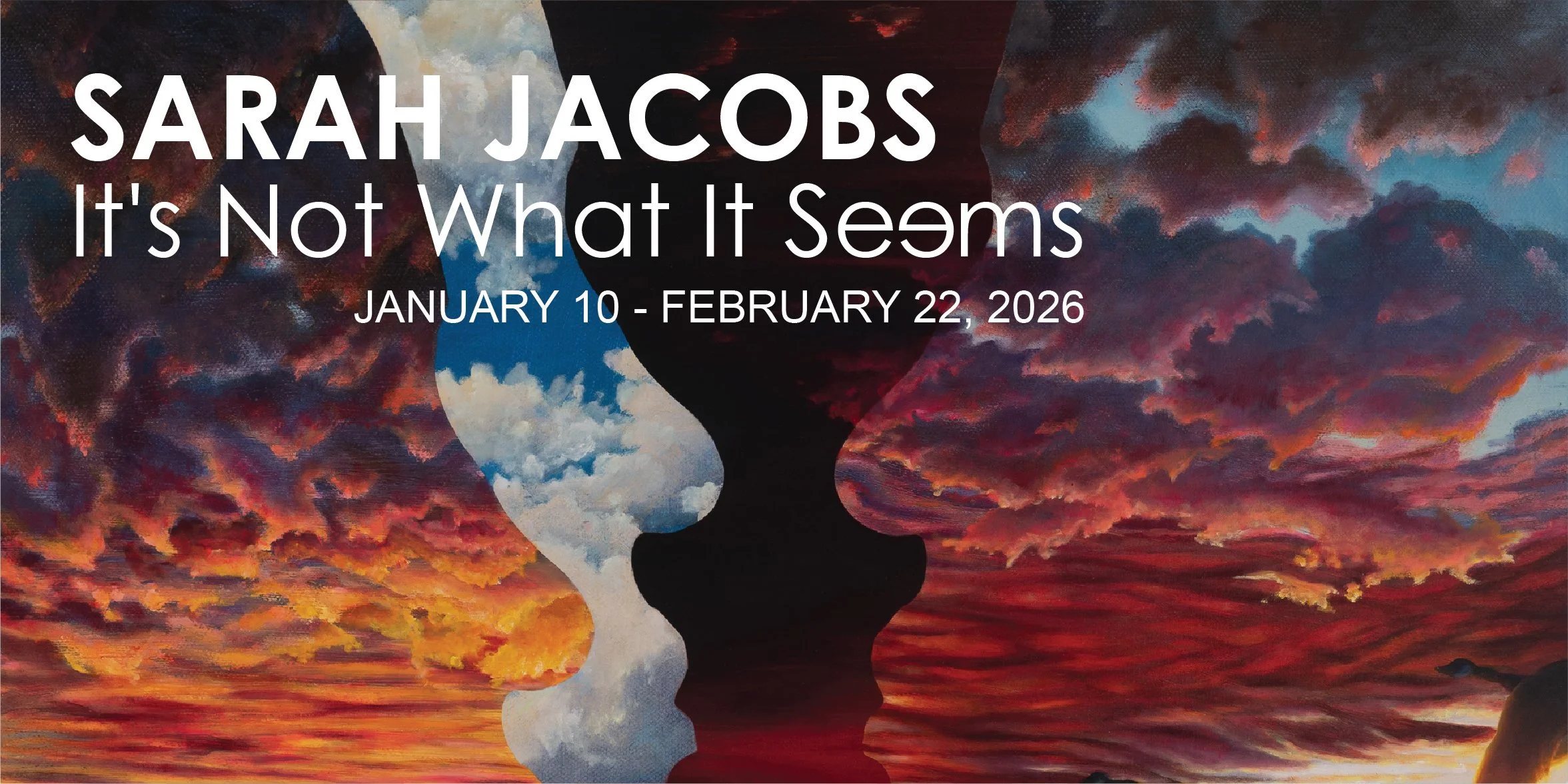 Not What It Seems rect promo.jpg