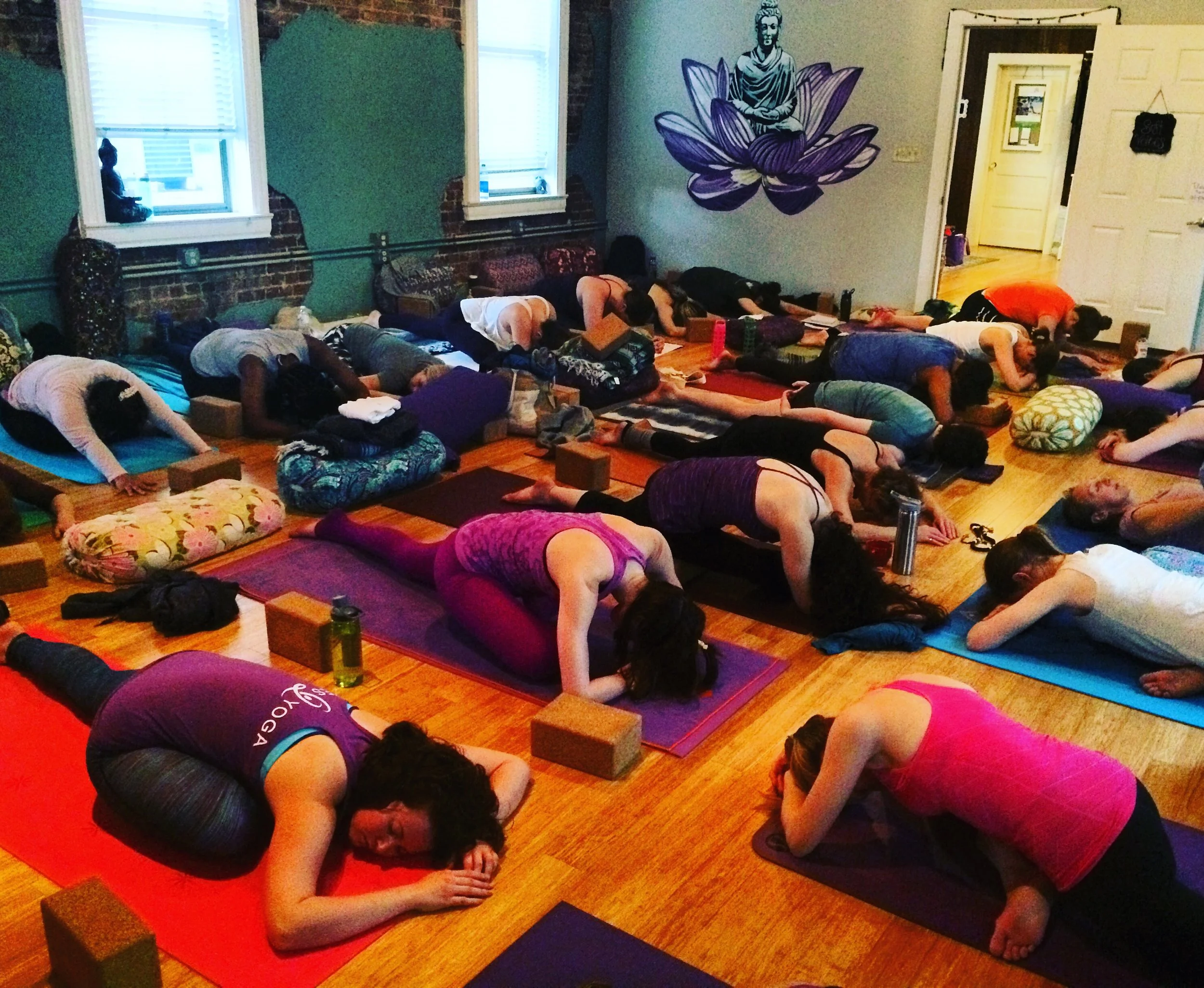 Ayurveda Module with Bella Vita Yoga's 200hr YTT