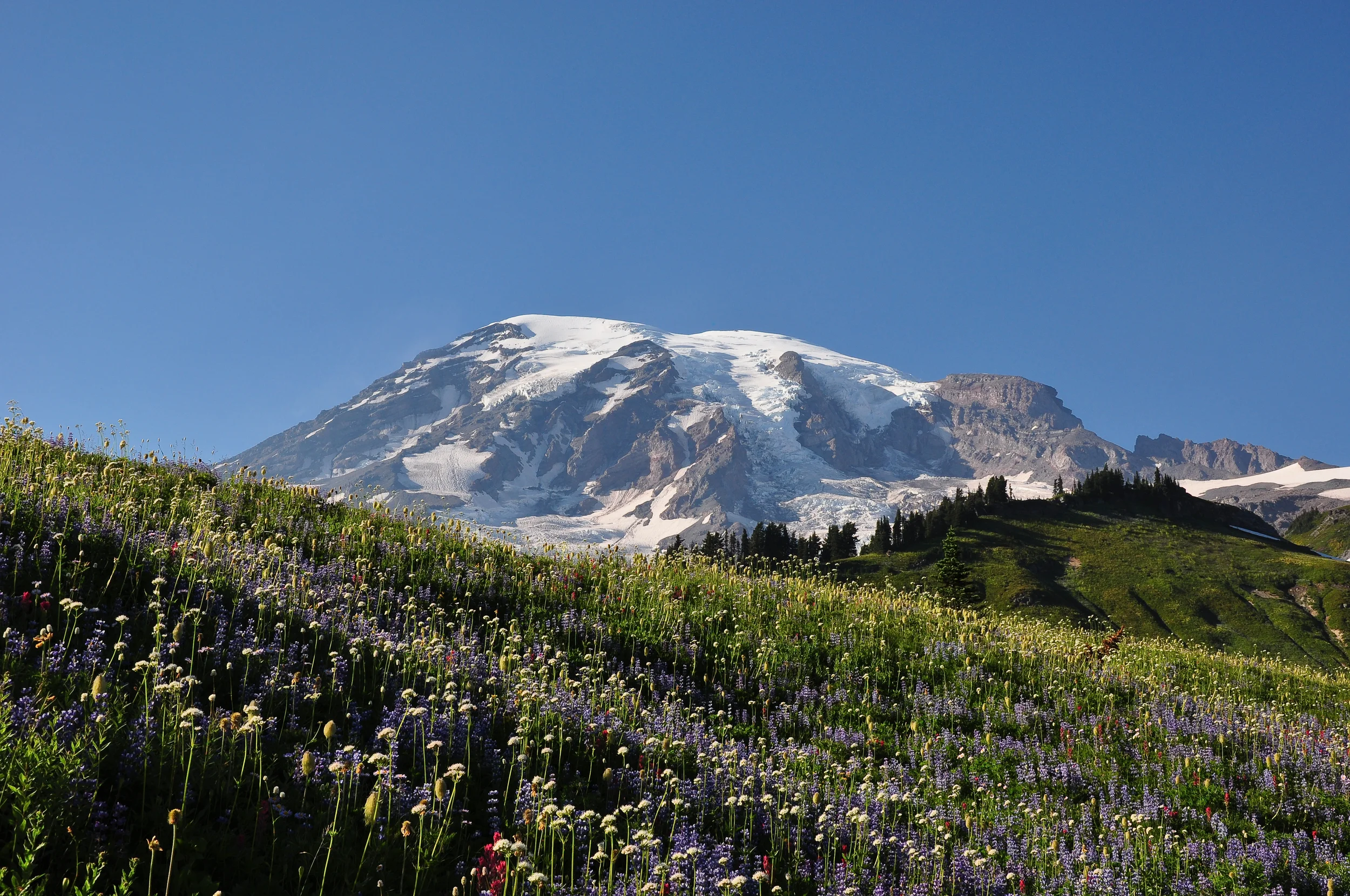 Mount_Rainier_(Washington_state,_USA).jpg