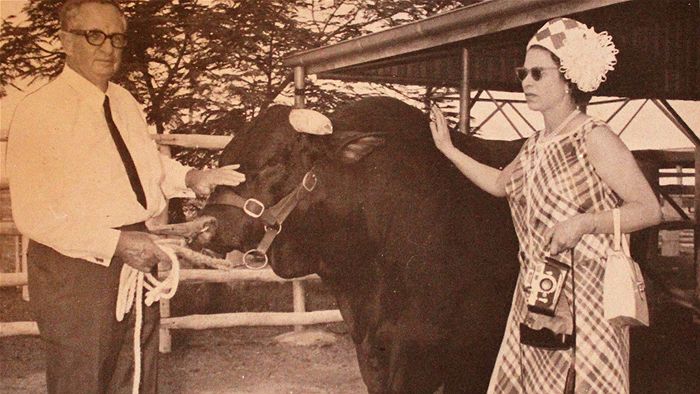 The Queen patting a bull with Sir James