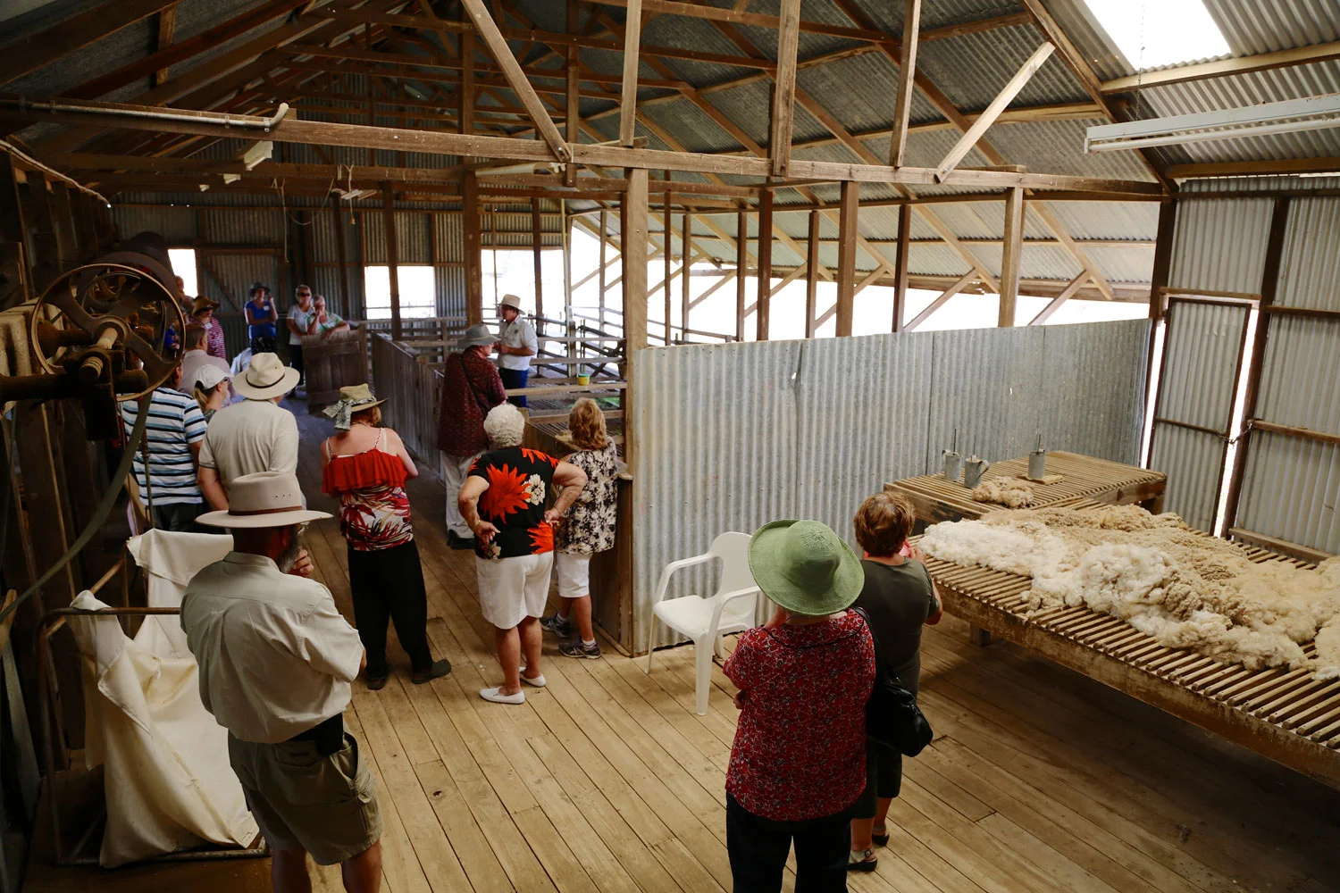 Tour in the Shearing Shed