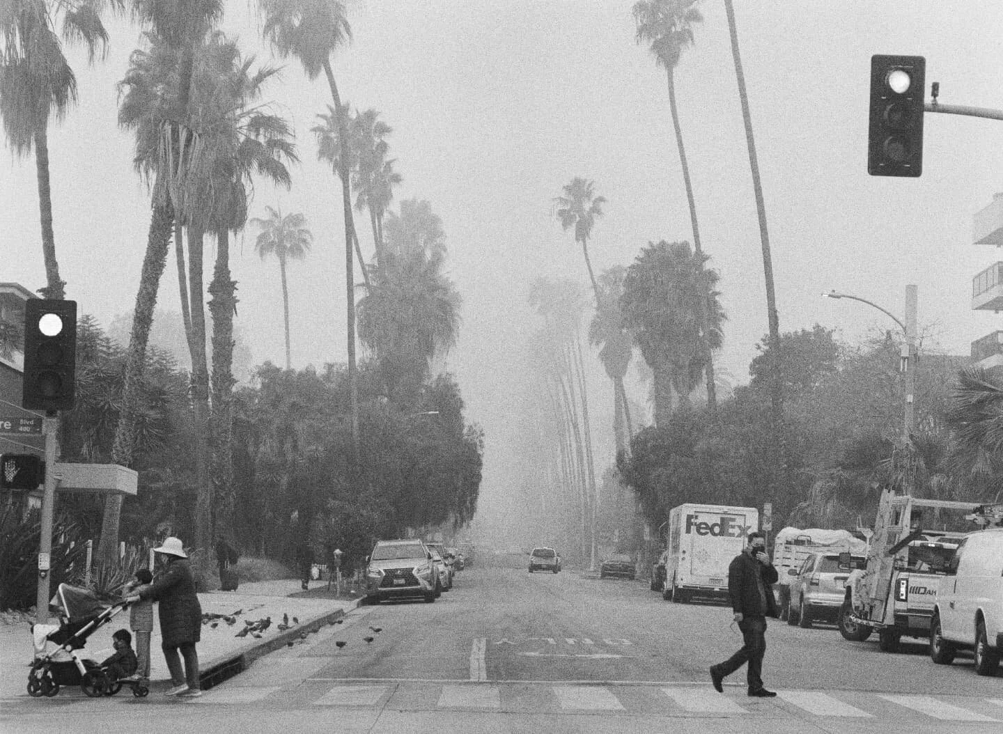 The clouds landed in Santa Monica #marinelayer #shootfilm #streetphotography #laphotographer
#santamonica #cinematographer

Shot on: #bronicaetrs #ilfordxp2
Processing: @35mpro