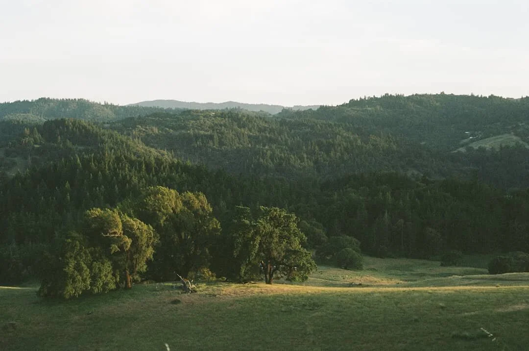 Magic hour in the mountains. #shootfilm #porta400 #nikon #landscape #mendocino