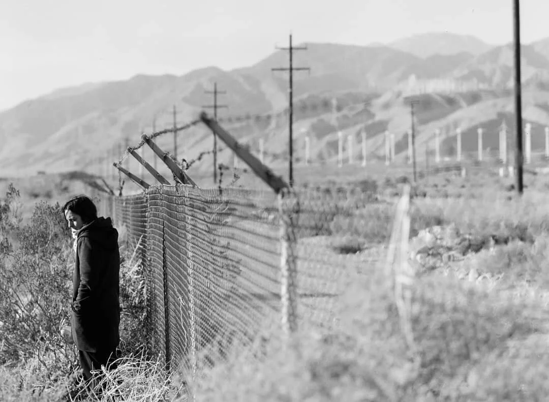 Windmilling. #shootfilm #bronicaetrs #mediumformat #trix100 #joshuatree #palmsprings  #laphotographer #streetleaks #bnw #bnw_captures