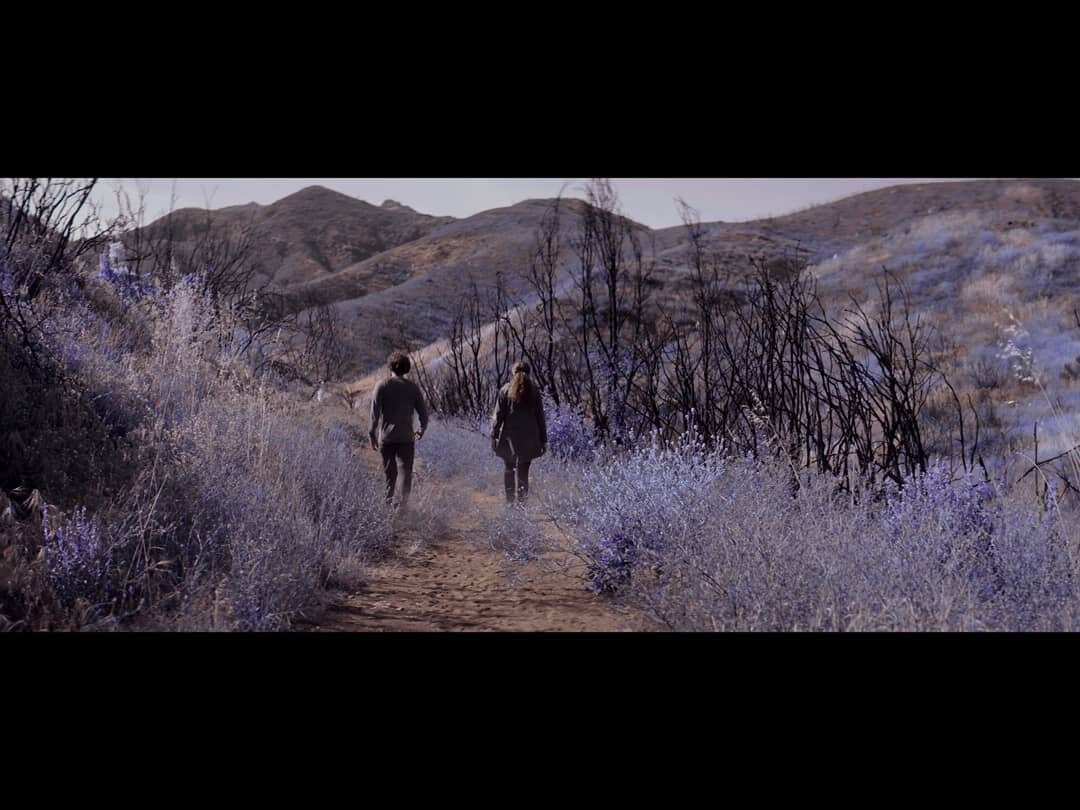 When developing a look for @nowheretogomovie with director @juliepacino, we looked at a lot of infrared photography references. We knew that we wanted to give sections of the film that otherworldly feeling.

Shooting this practically would have been 