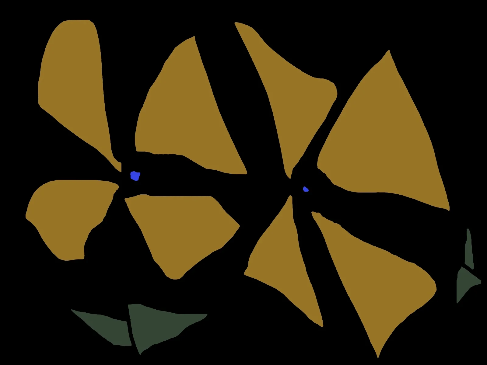 FLOWERS3 OCTOBER 2010.JPG
