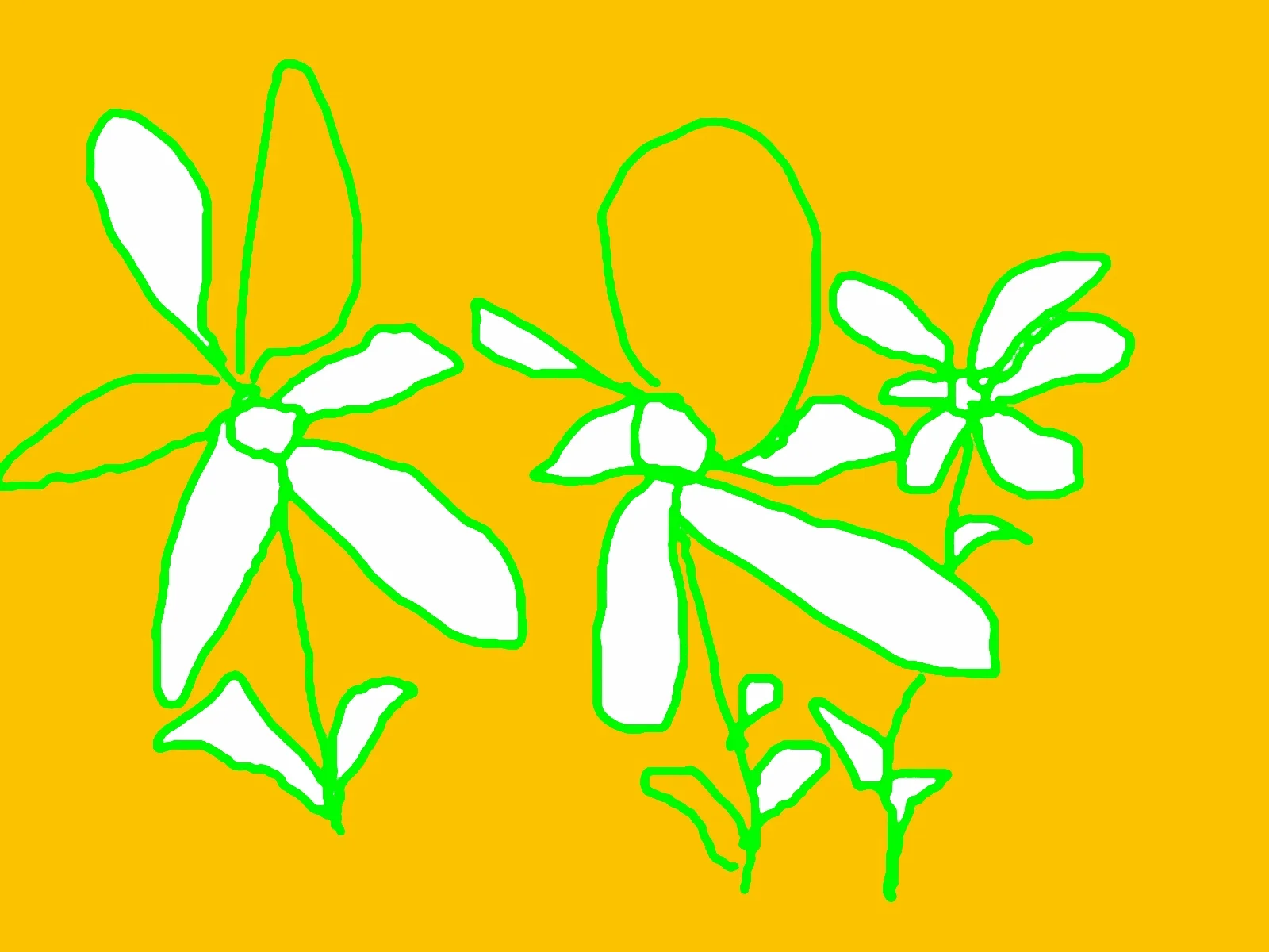 FLOWERS OCTOBER 2010.JPG