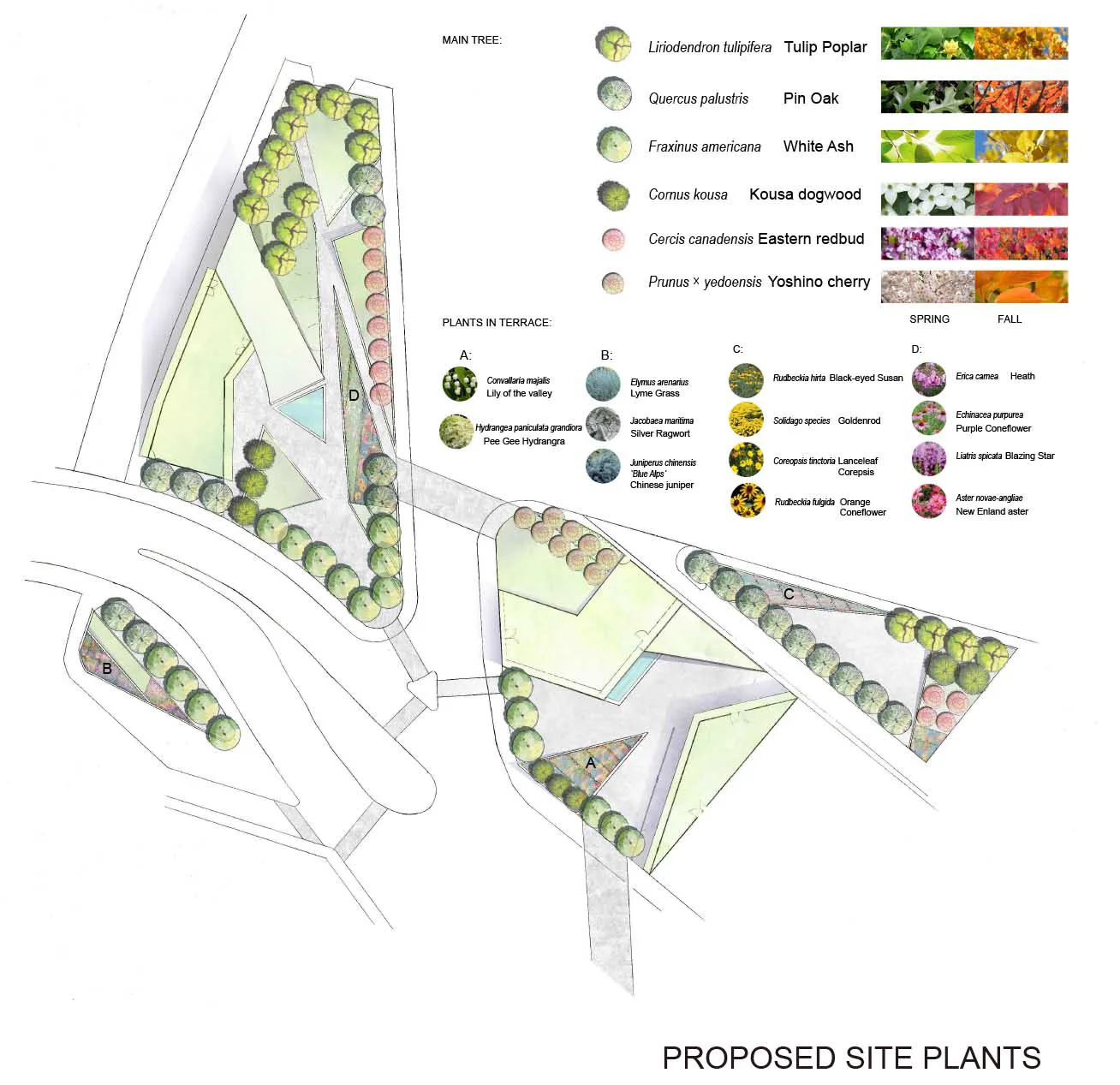 diagrams PLANTS33331.jpg