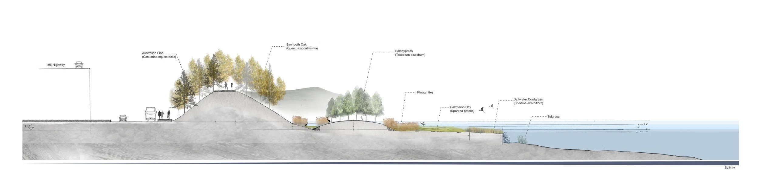 Long Section of the Proposal Site.