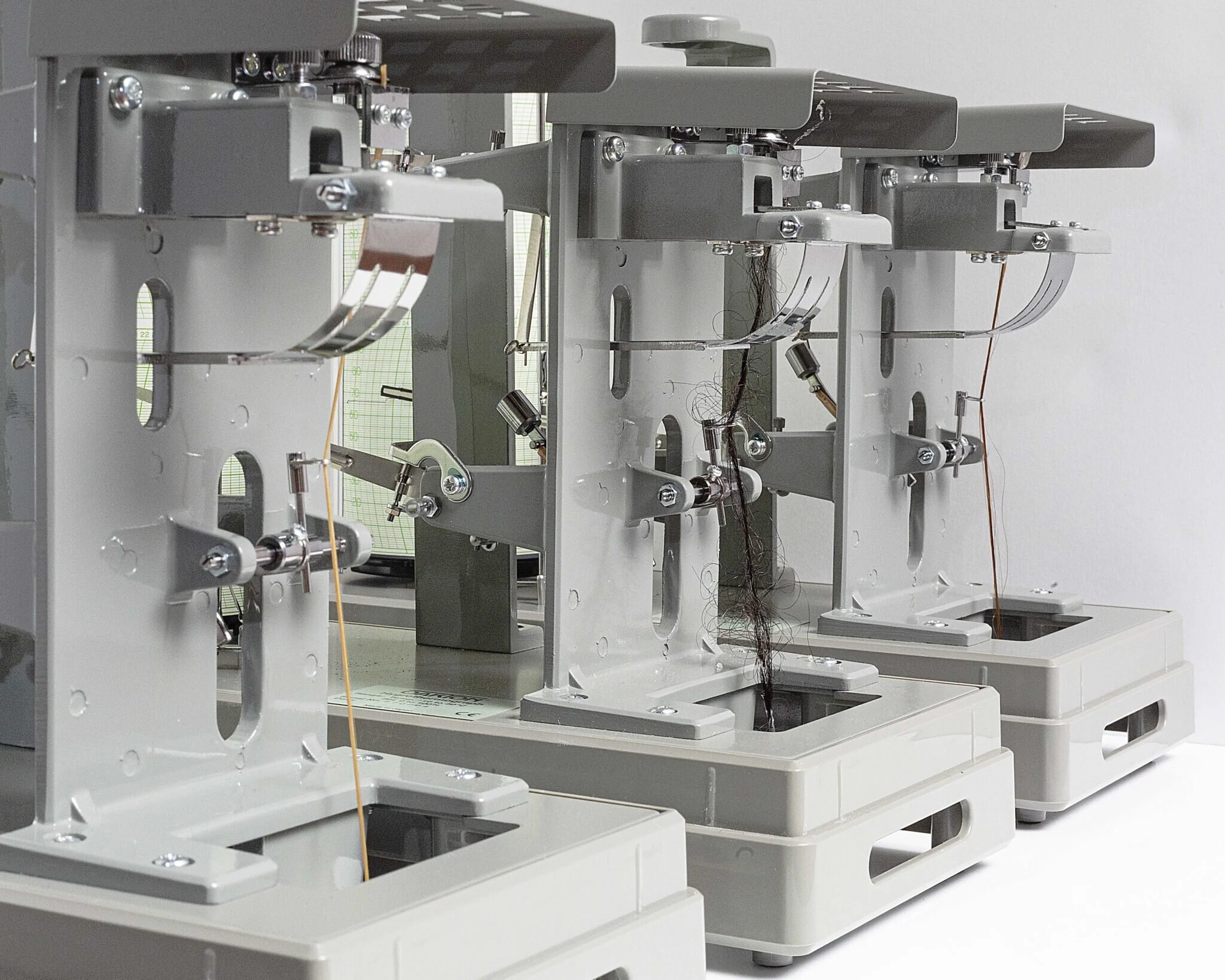 Image Credit: Erica Urech