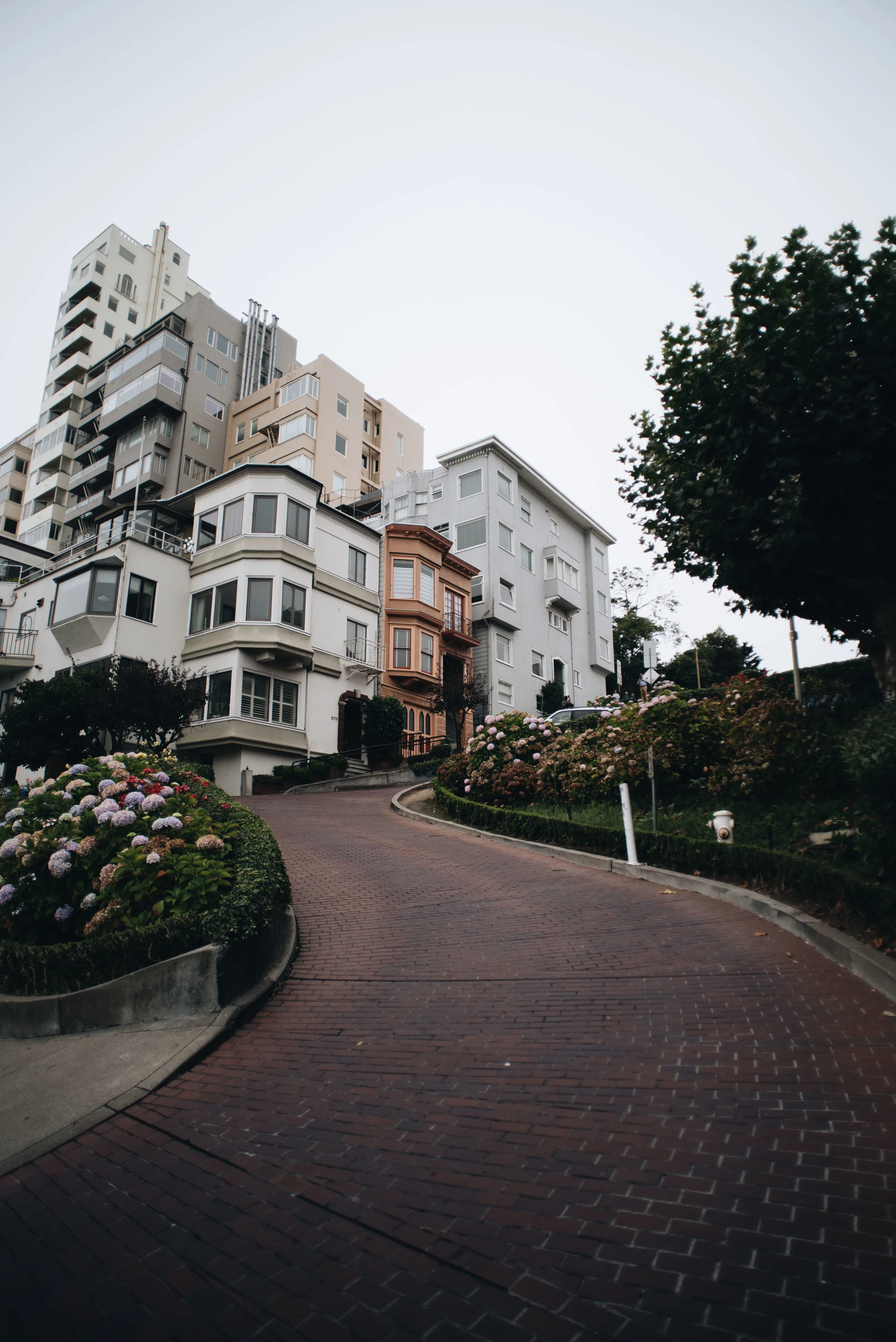 SanFran-30.jpg