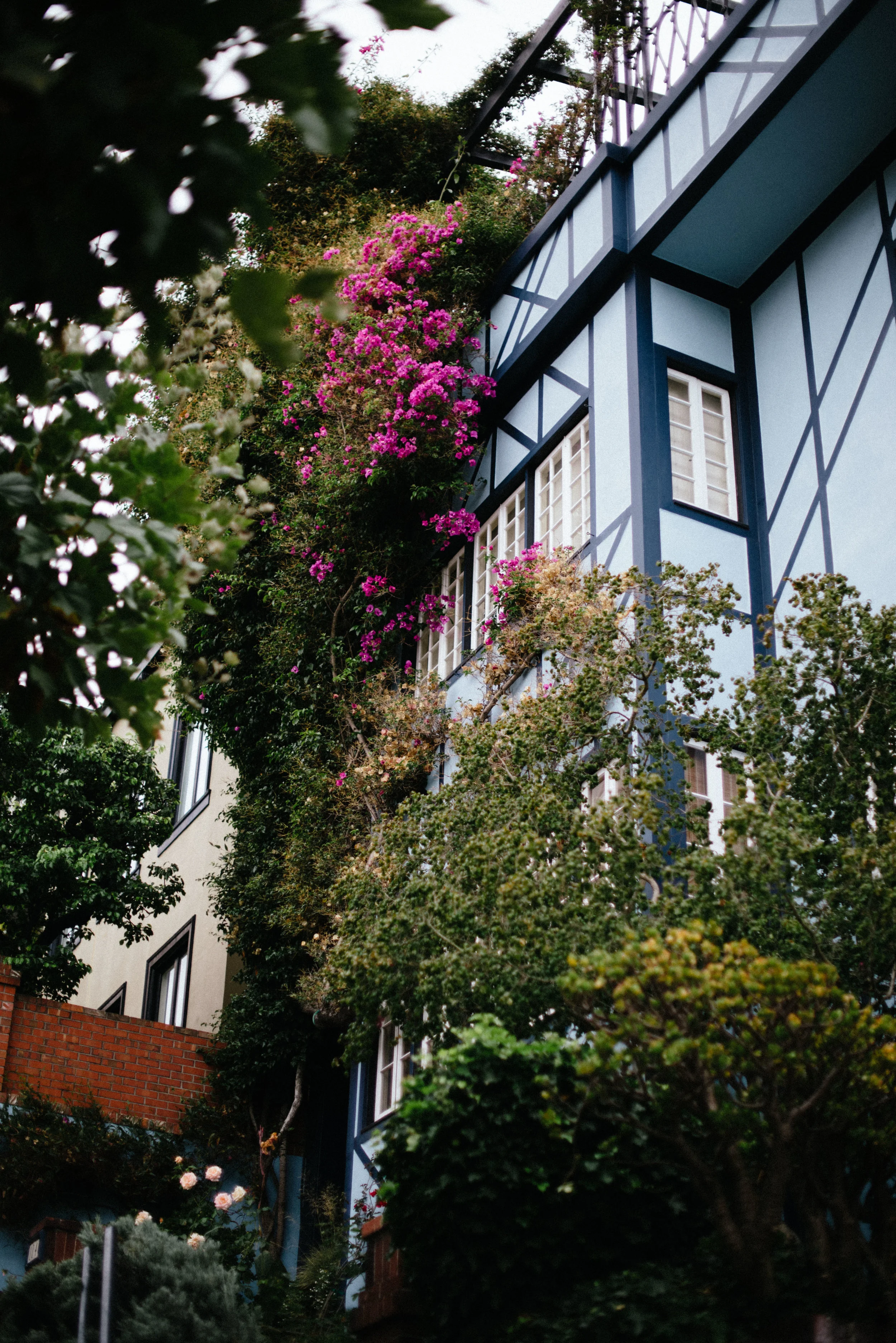 SanFran-27.jpg