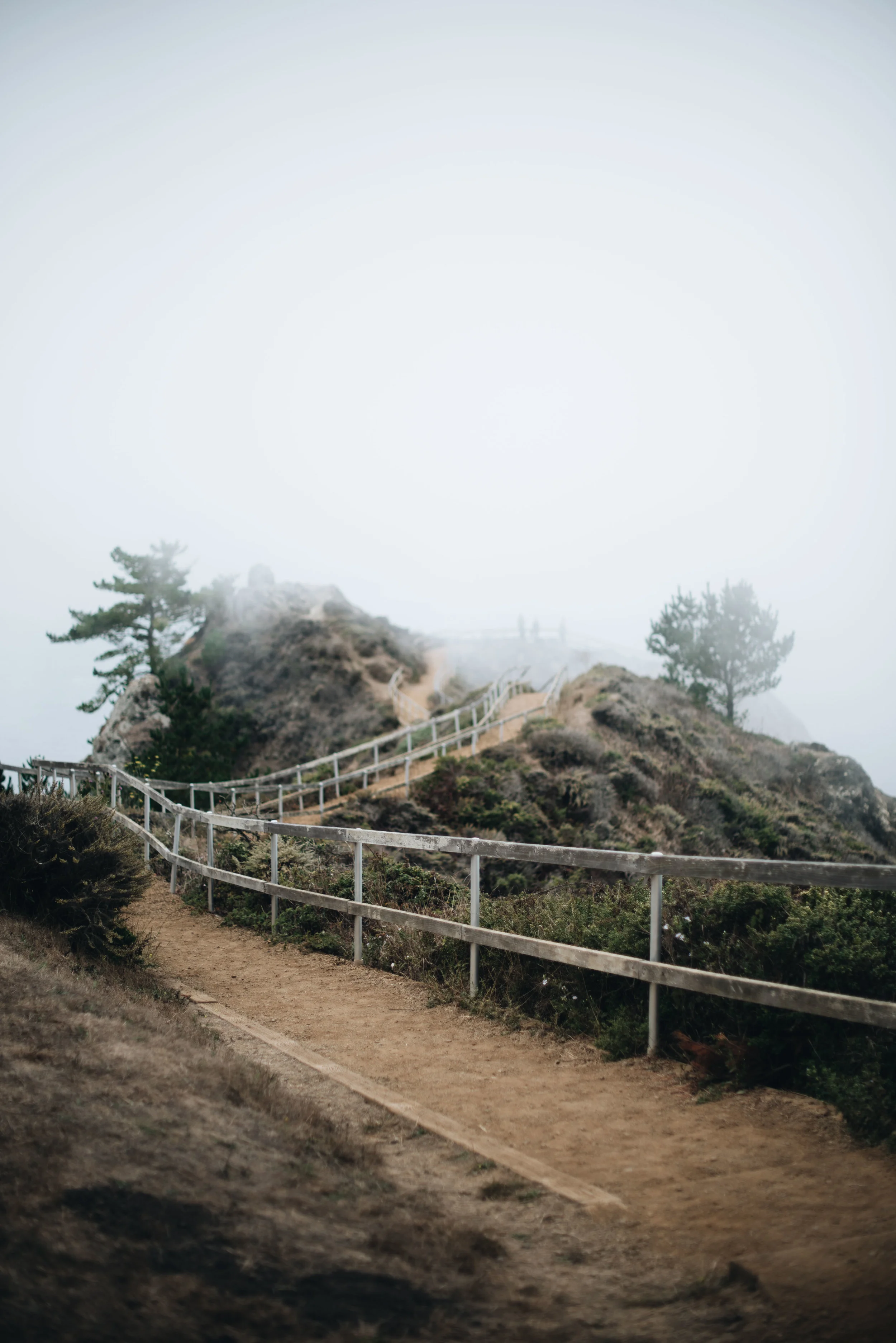 SanFran-67.jpg
