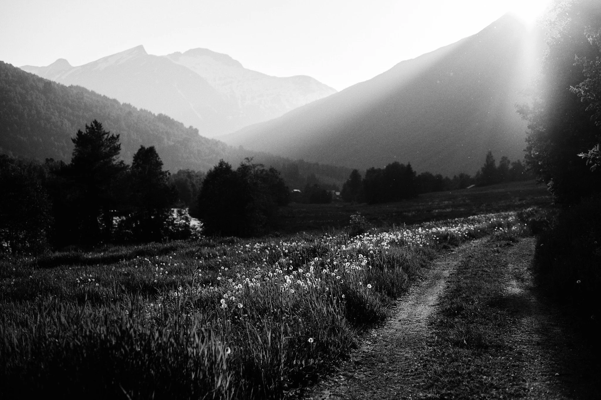 Pic-Time Stories: Cole Roberts 8 Pic-Time Stories: Cole Roberts 7