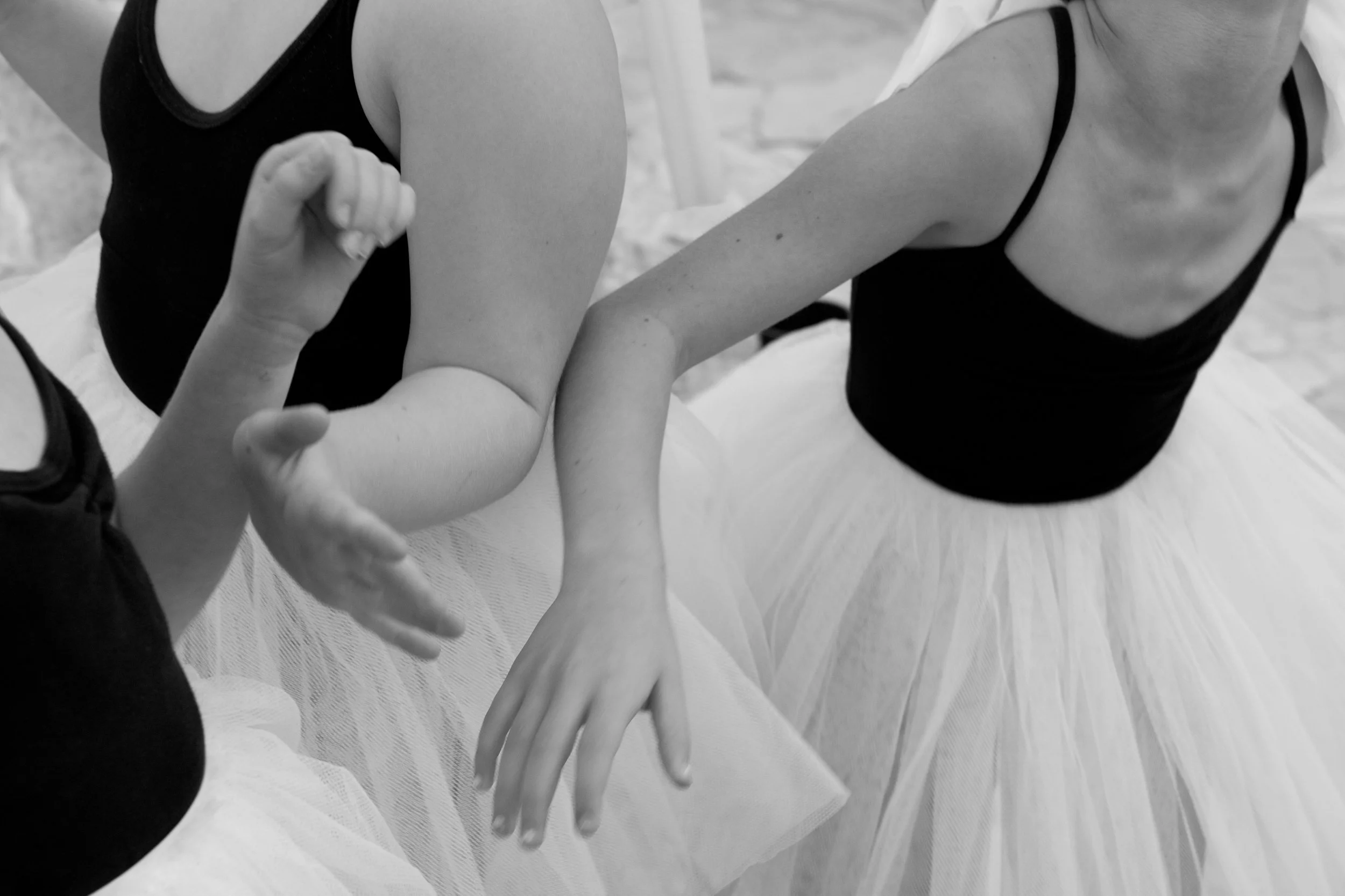 Shaping an Industry: A Co-Founder’s Journey in Art & Business 12 Shaping an Industry: A Co-Founder’s Journey in Art & Business 11